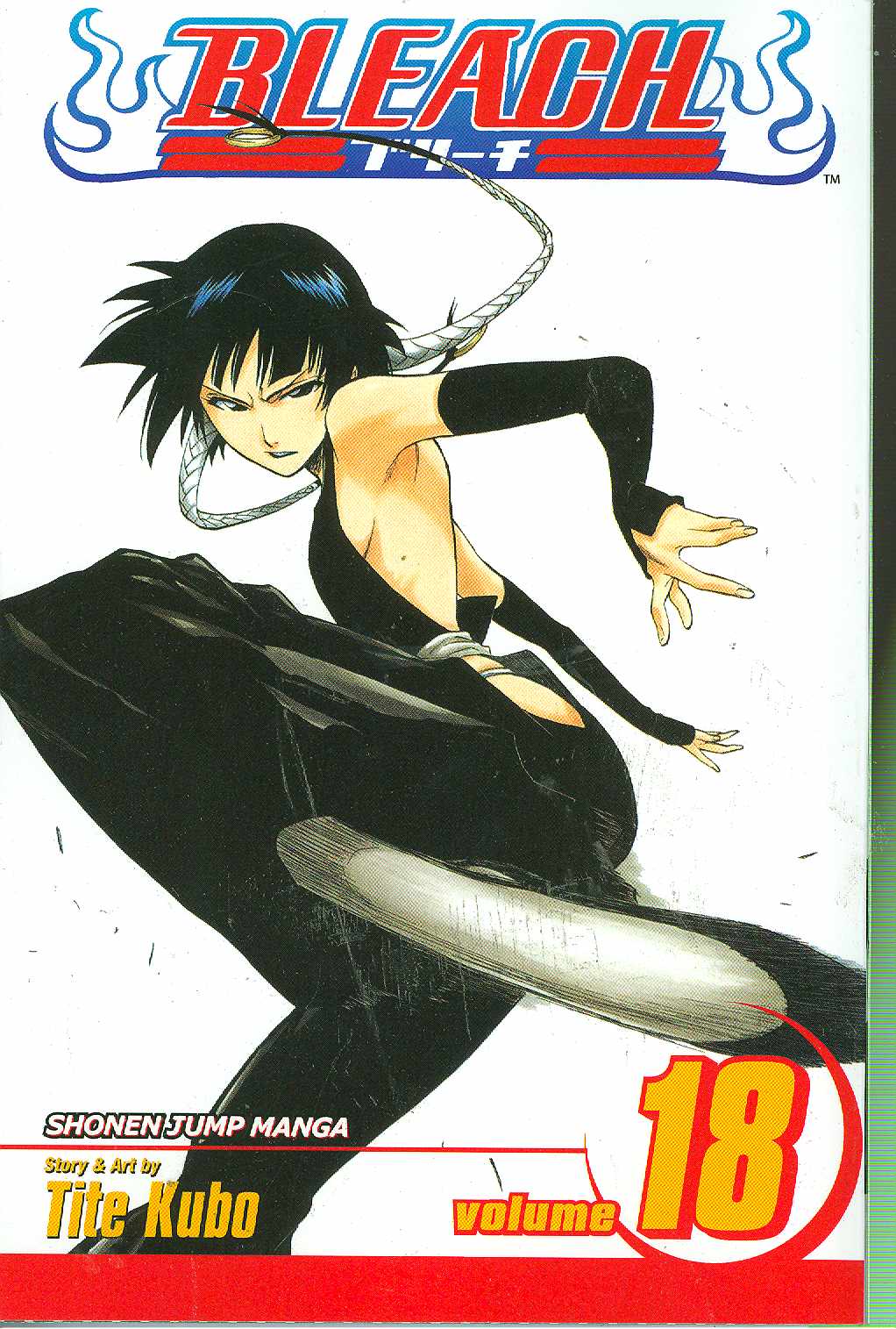 Bleach Manga Volume 18
