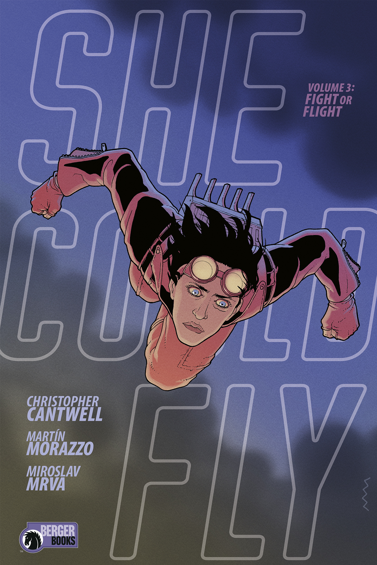 She Could Fly Graphic Novel Volume 3 Fight Or Flight (Mature)