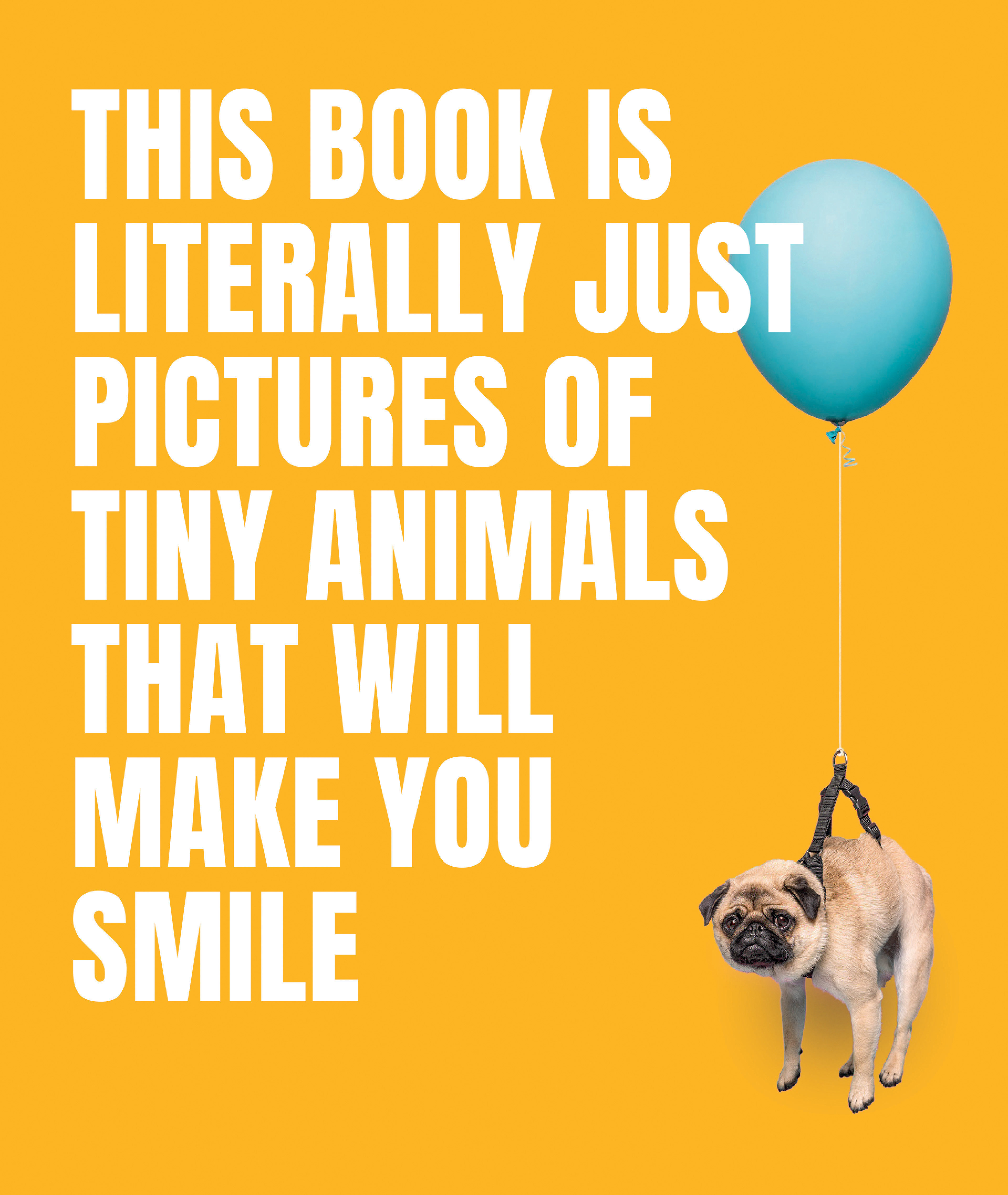 This Book Is Literally Just Pictures Of Tiny Animals That Will Make You Smile (Hardcover Book)