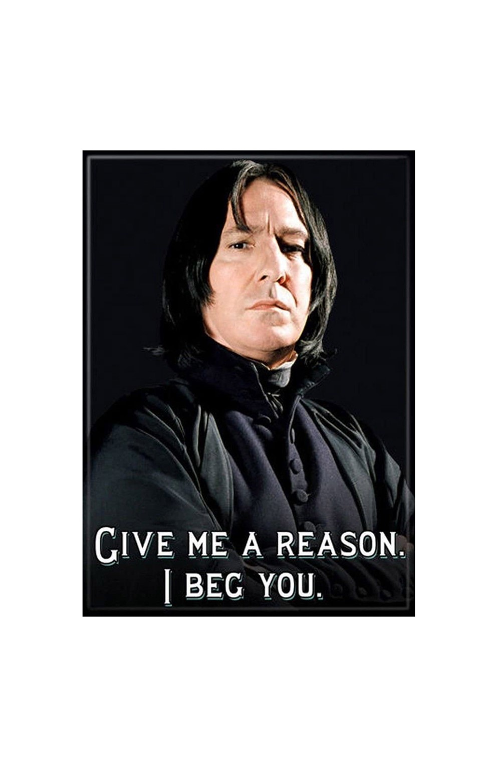 Snape I Beg You Magnet	