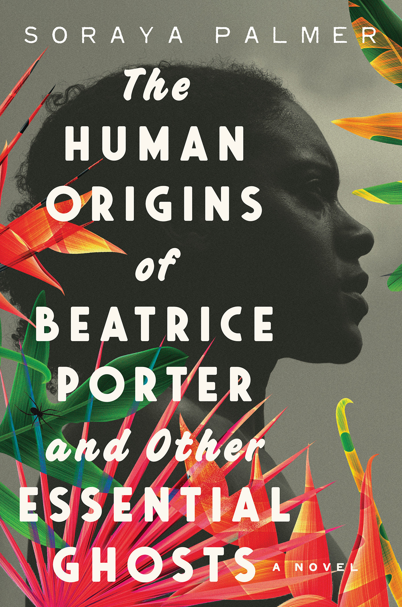 The Human Origins Of Beatrice Porter And Other Essential Ghosts (Hardcover Book)
