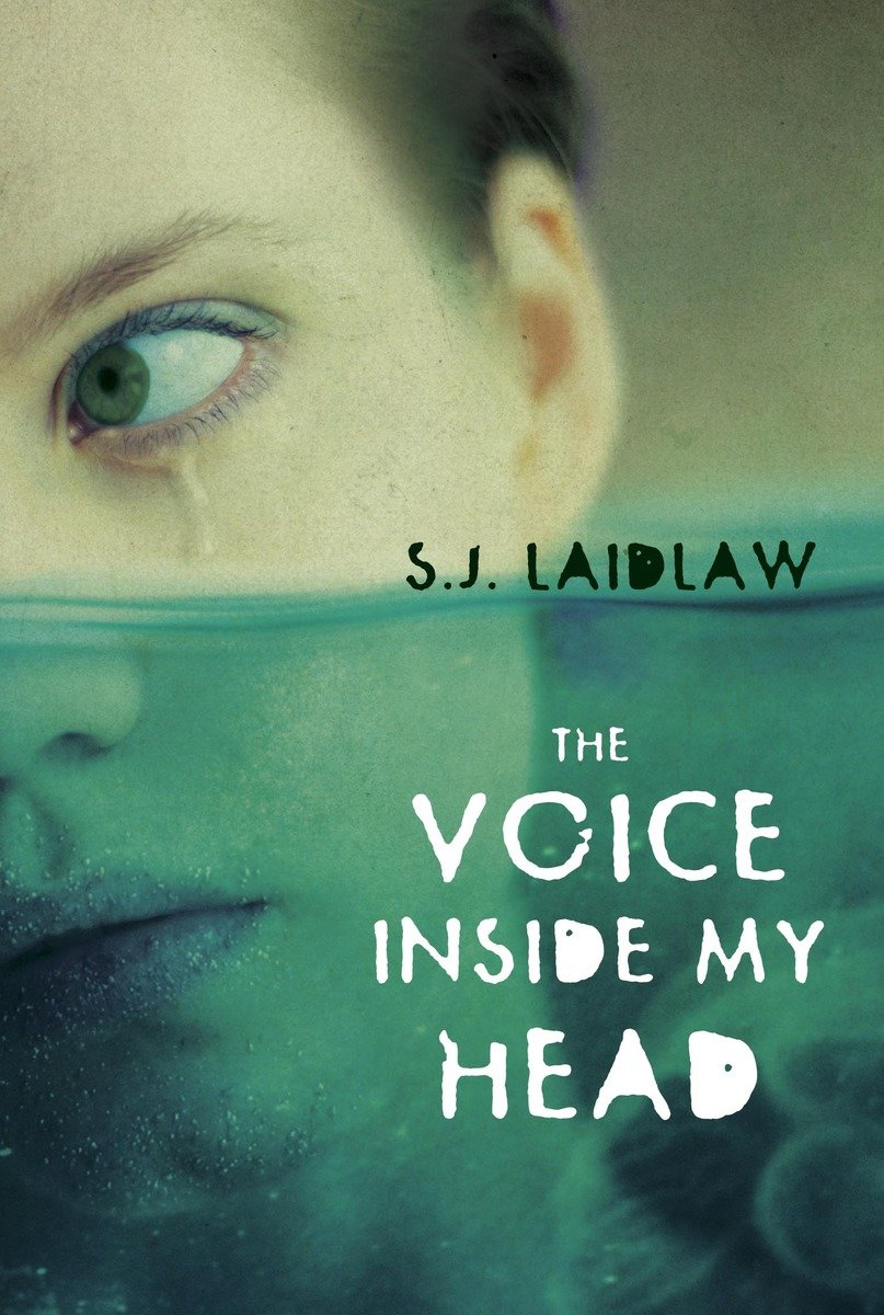 The Voice Inside My Head (Hardcover Book)