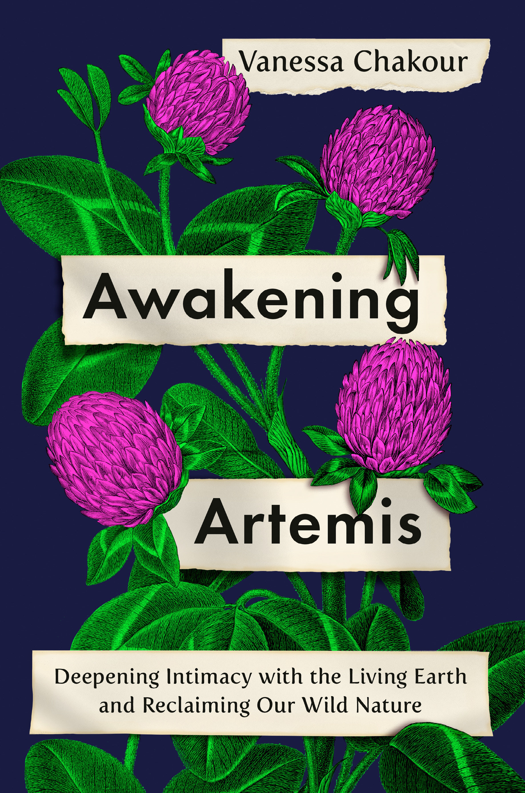 Awakening Artemis (Hardcover Book)