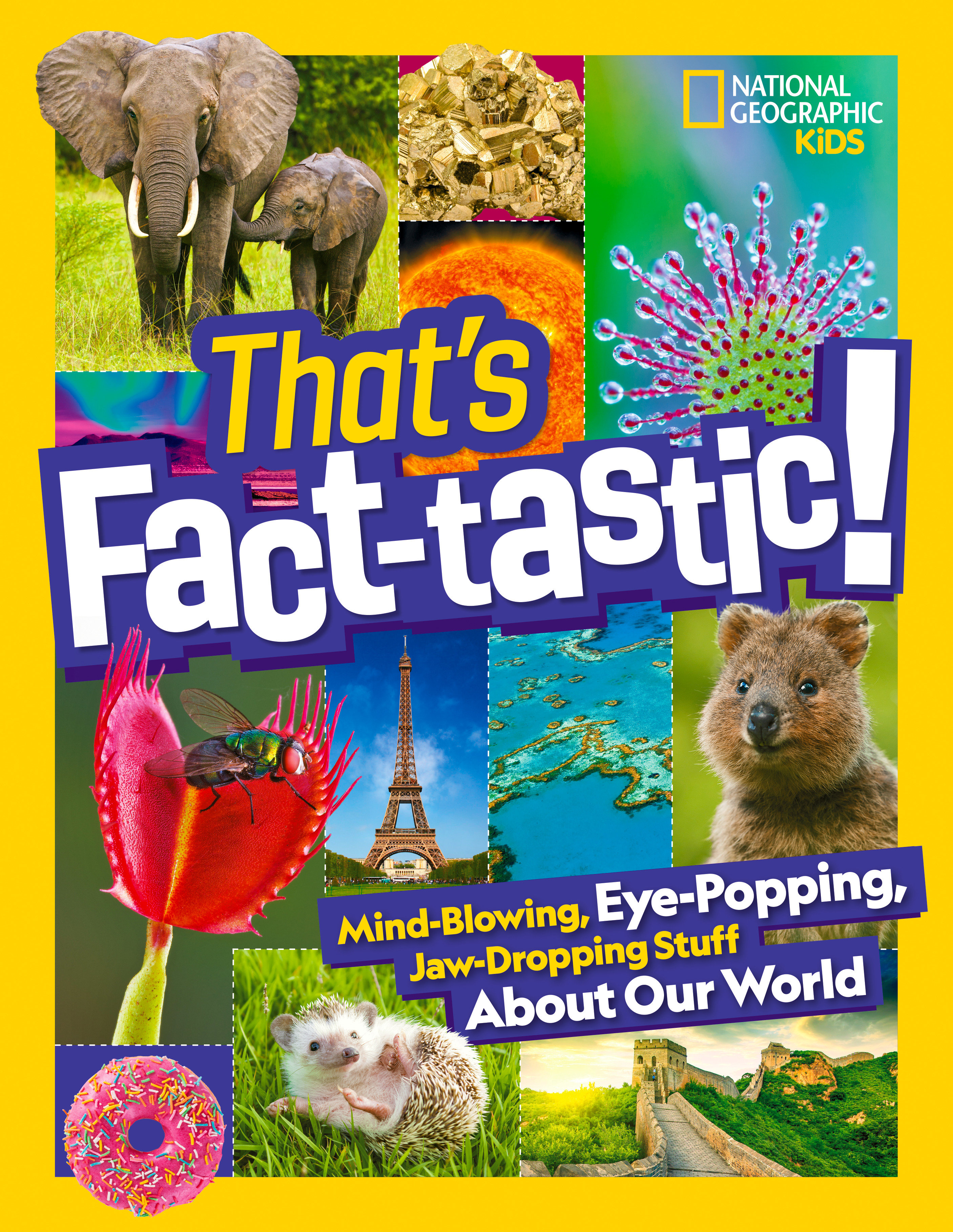 That'S Fact-Tastic! (Hardcover Book)