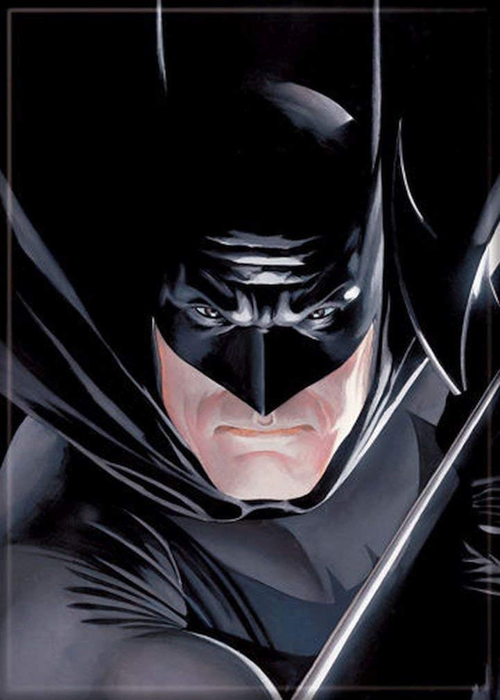 Batman Alex Ross Magnet | ComicHub