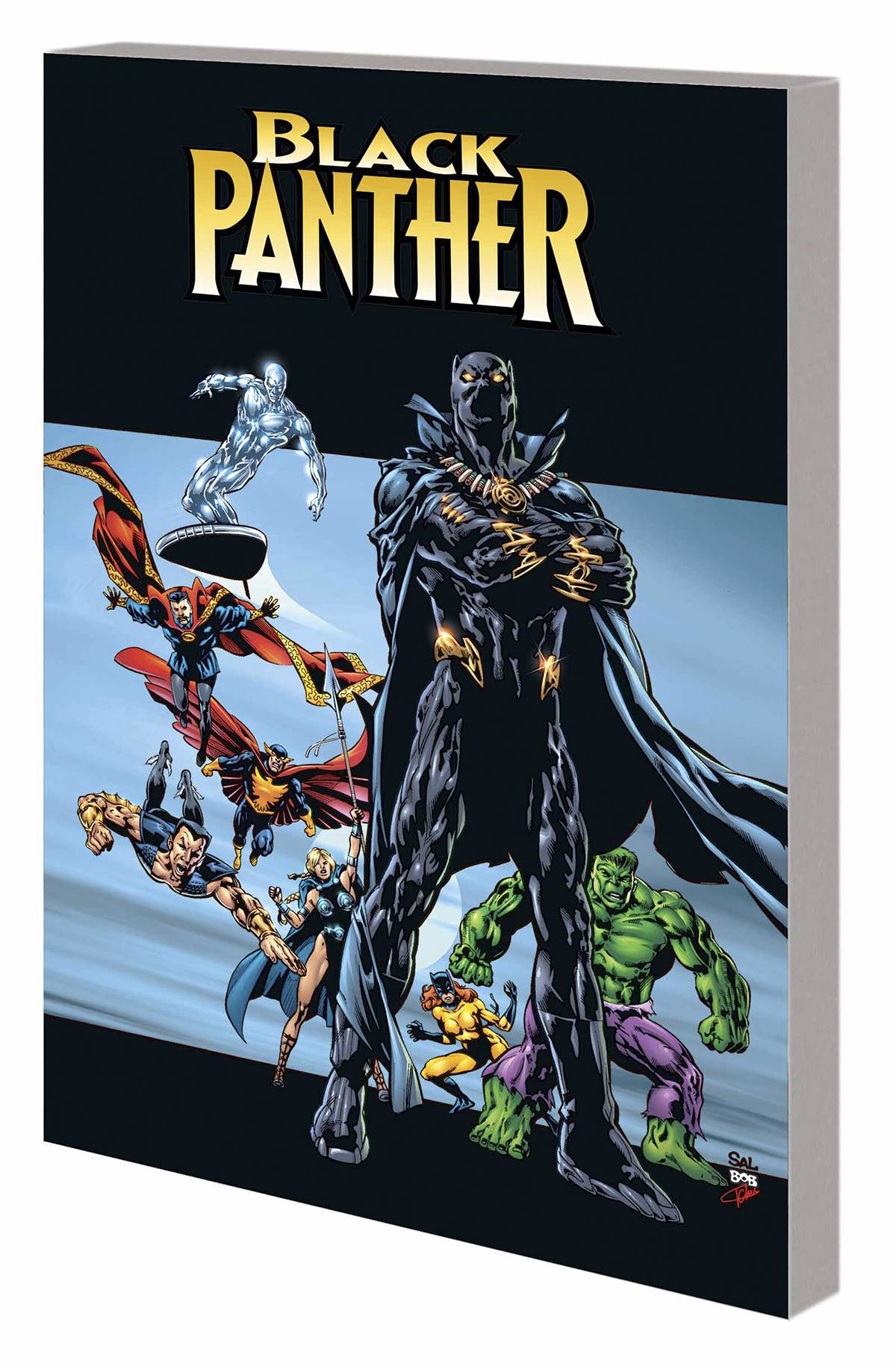 Black Panther by Priest Graphic Novel Volume 2 Complete Collection