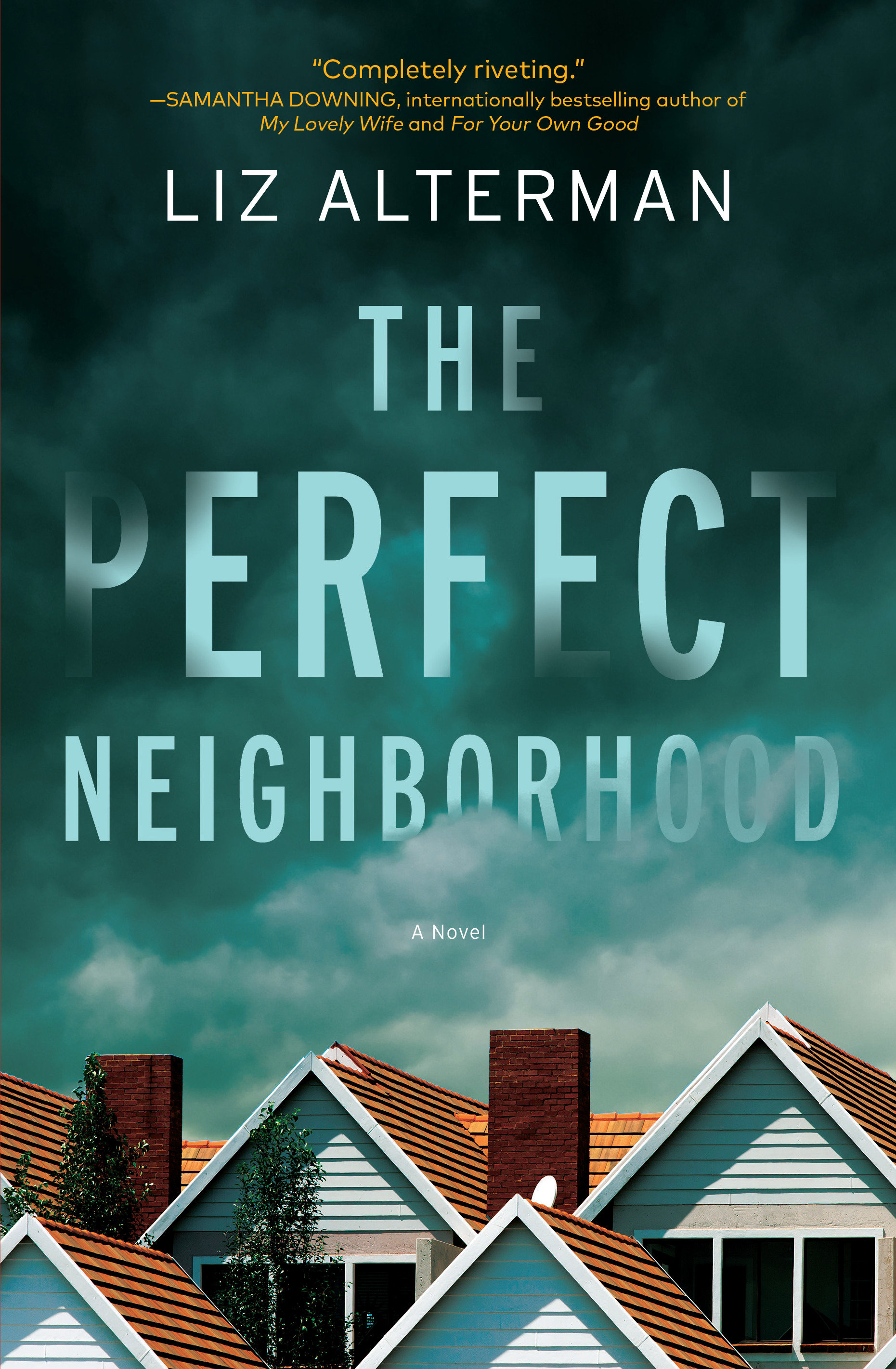 The Perfect Neighborhood (Hardcover Book)