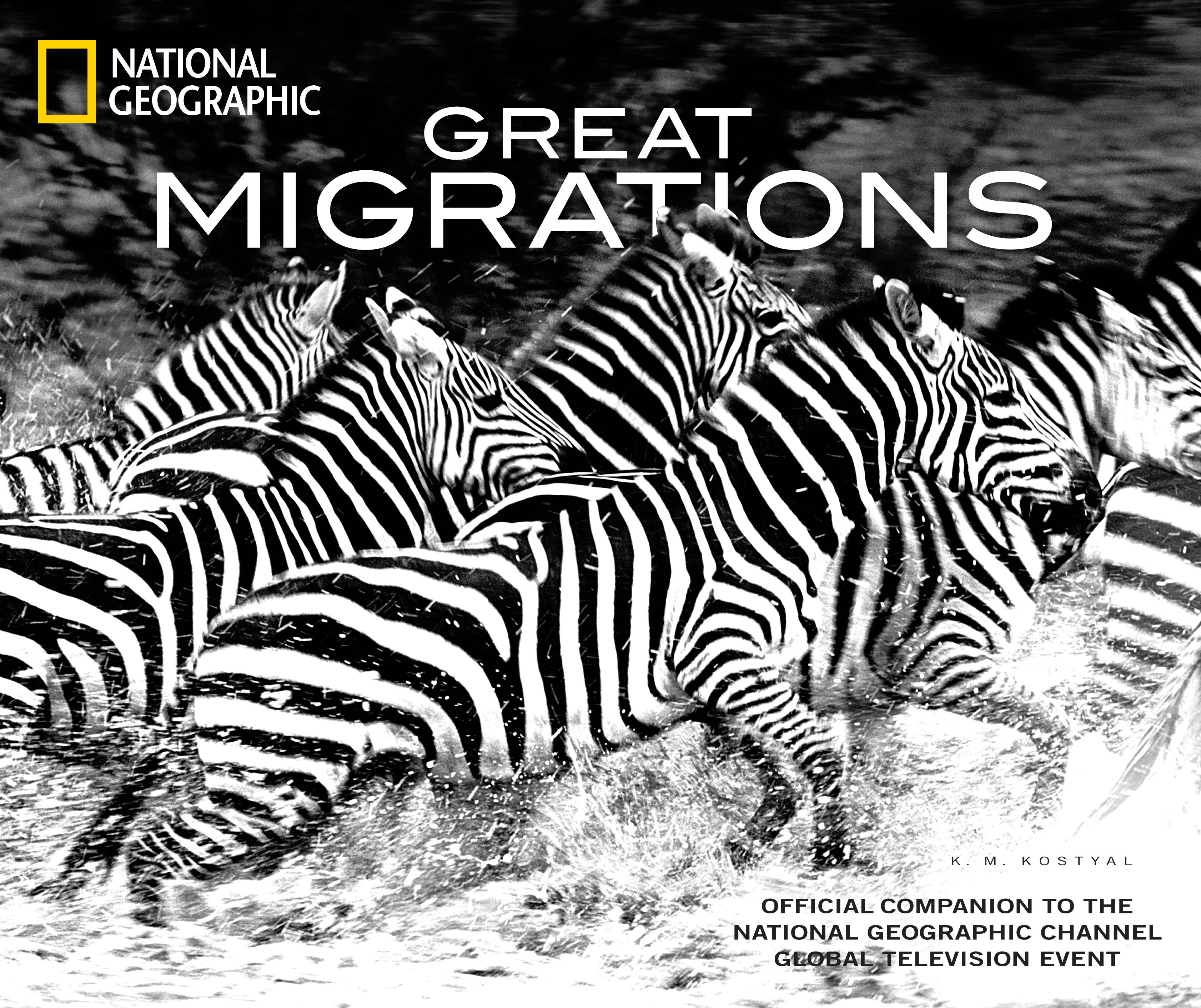 Great Migrations (Hardcover Book)