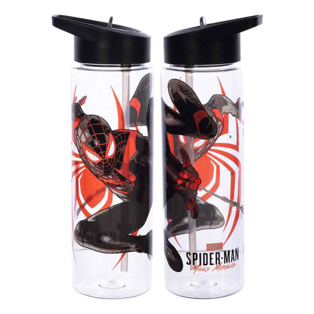 Spider-Man Miles Morales Illustrated Spider In Web Stainless Steel Water  Bottle