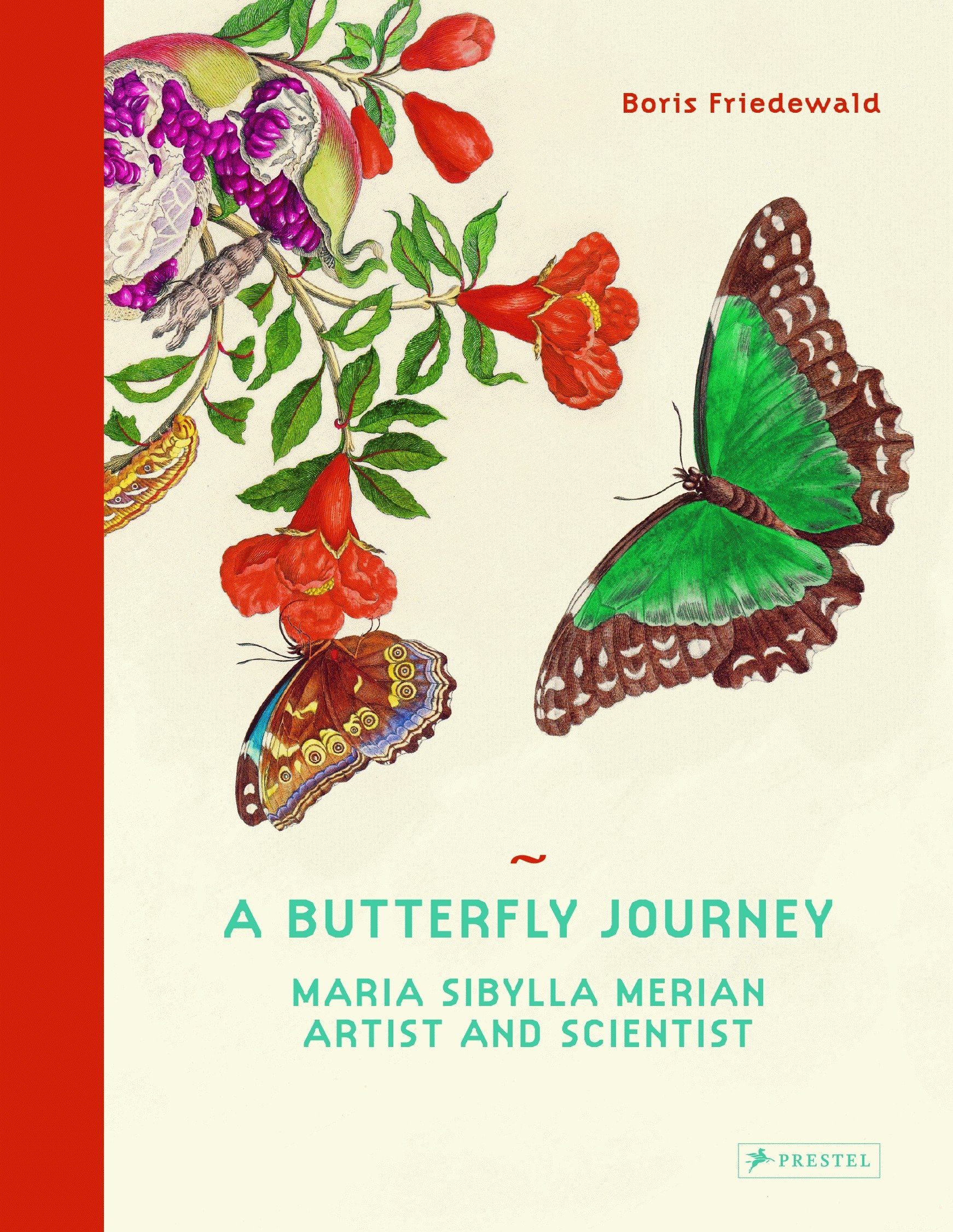 A Butterfly Journey (Hardcover Book)