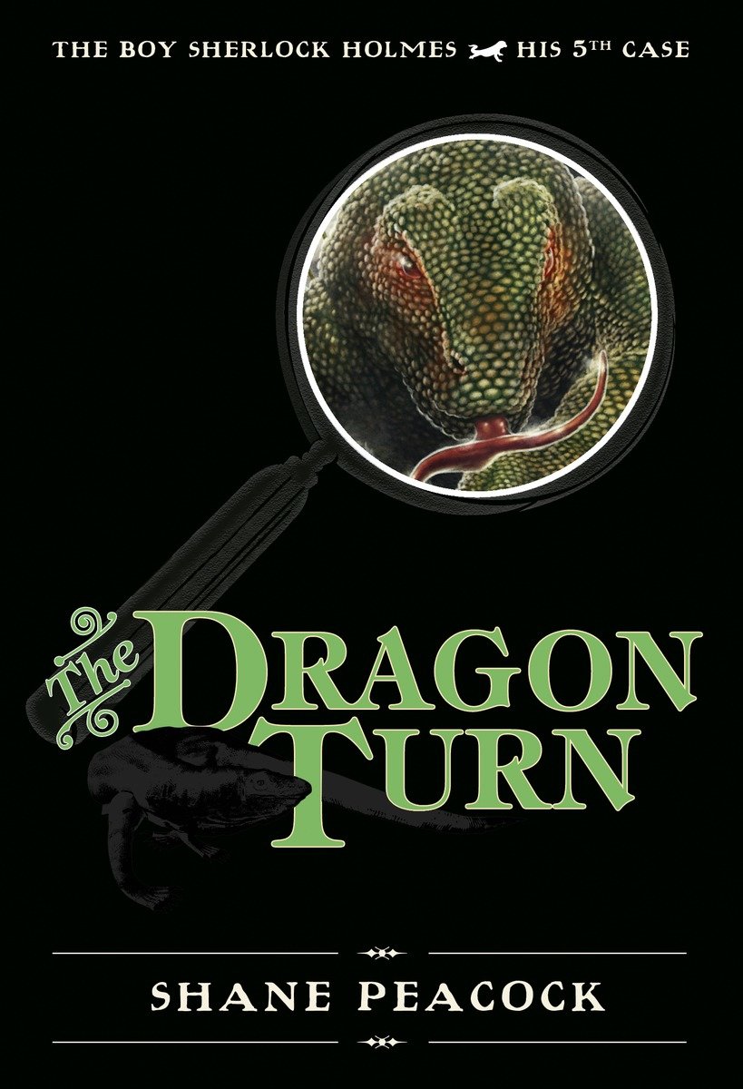 The Dragon Turn (Hardcover Book)