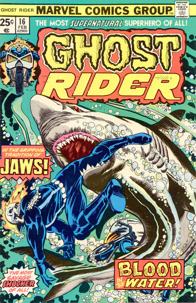 Ghost Rider #16 [Regular Edition]