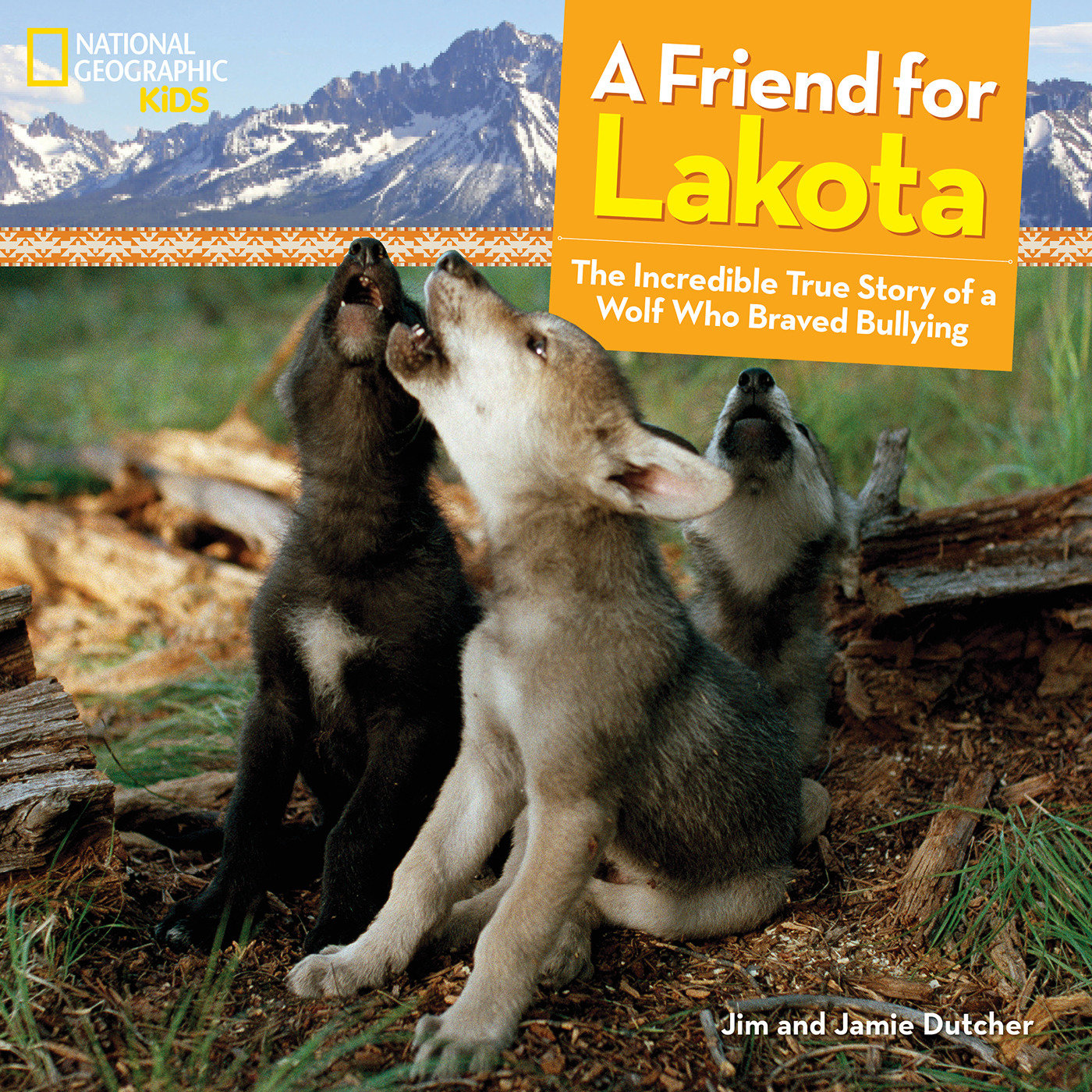 A Friend for Lakota (Hardcover Book)