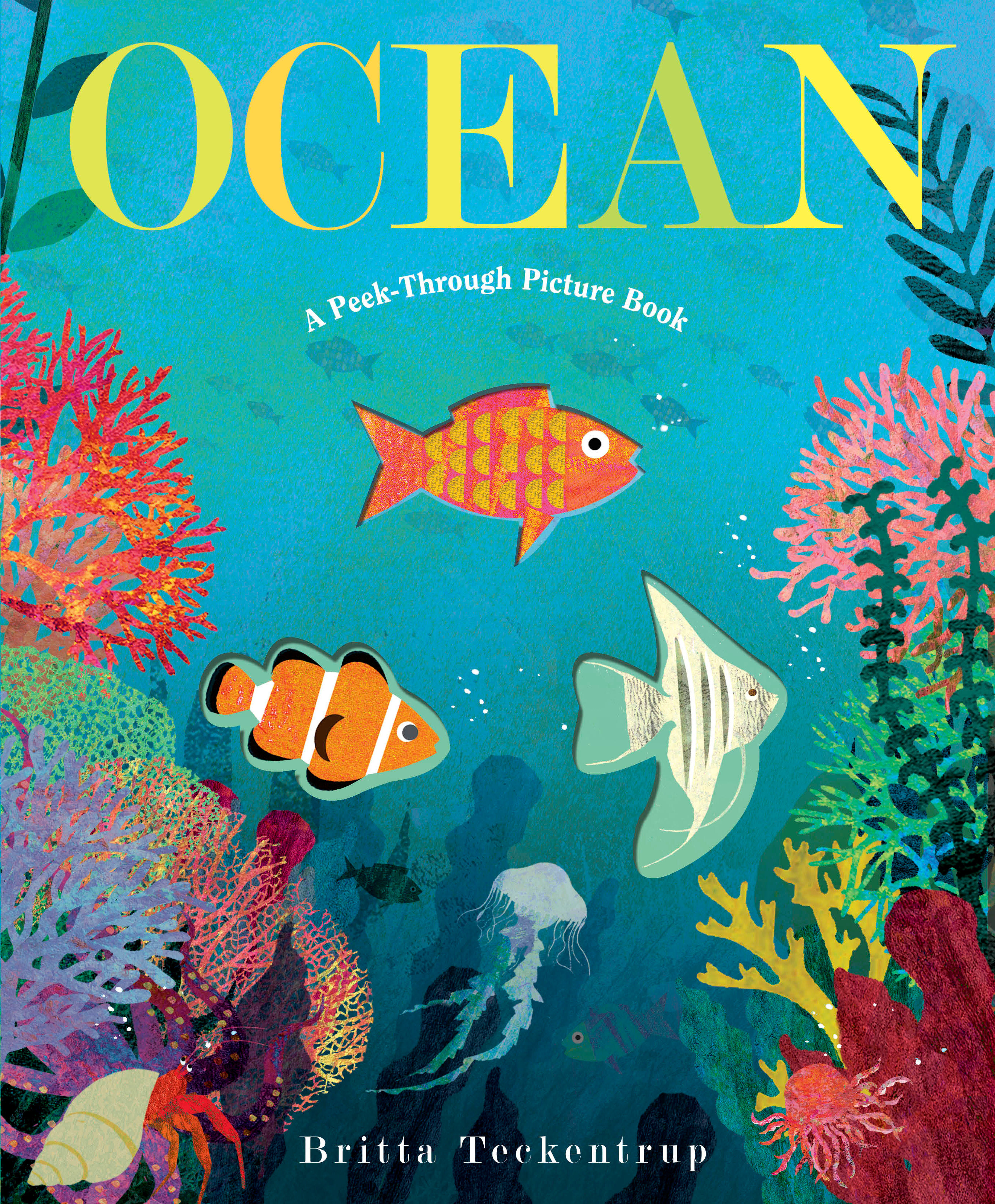 Ocean: A Peek-Through Picture Book (Hardcover Book)