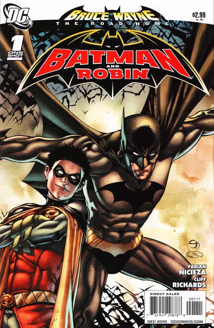 Bruce Wayne The Road Home Batman & Robin #1