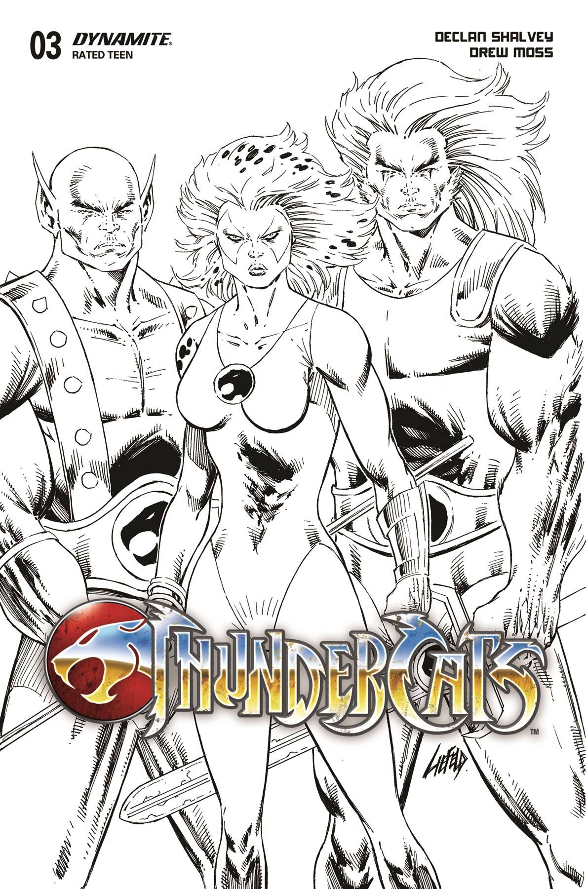 Thundercats #3 Cover Y 1 for 10 Incentive Liefeld Black & White