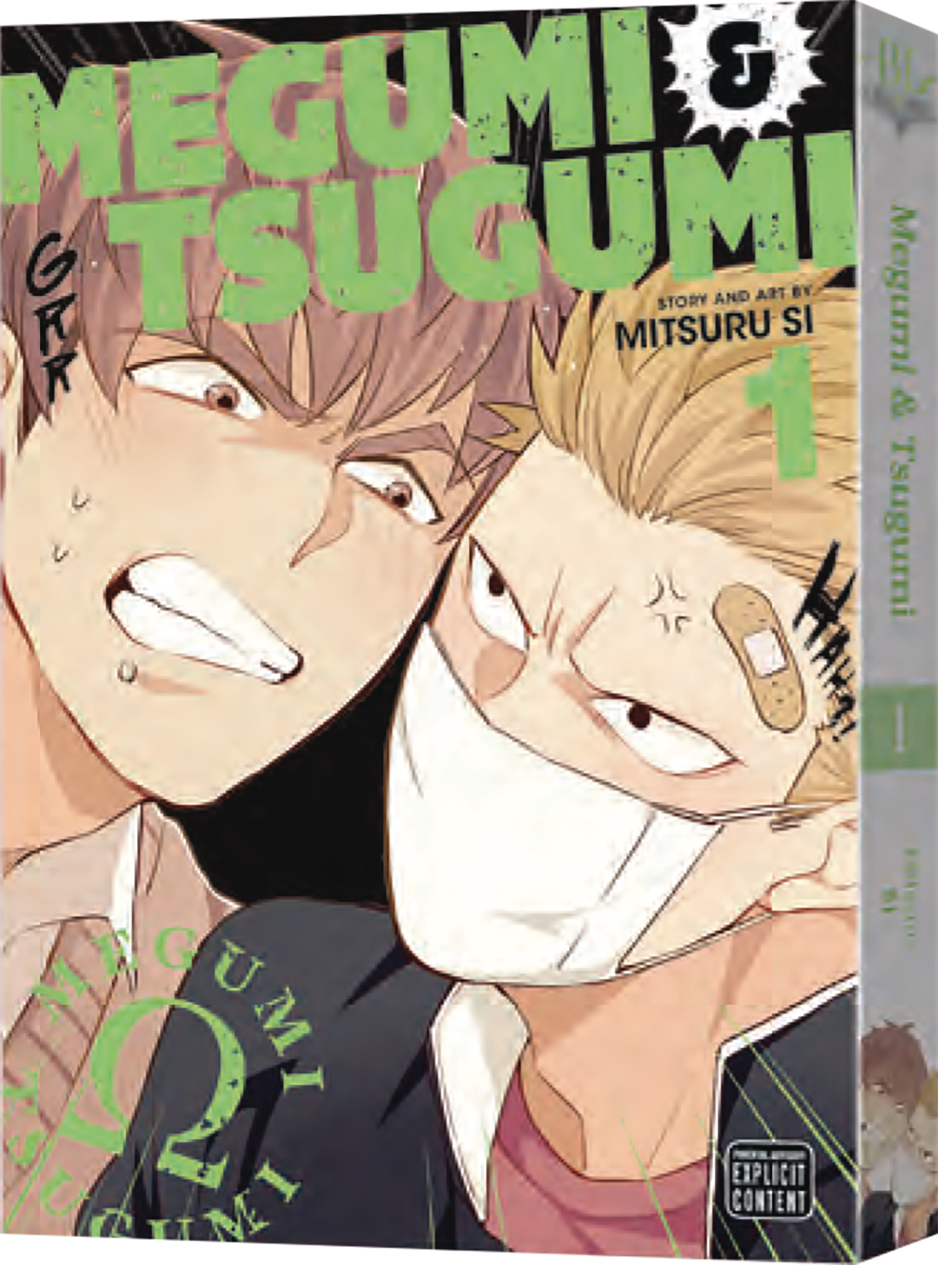 Megumi & Tsugumi Manga Volume 1