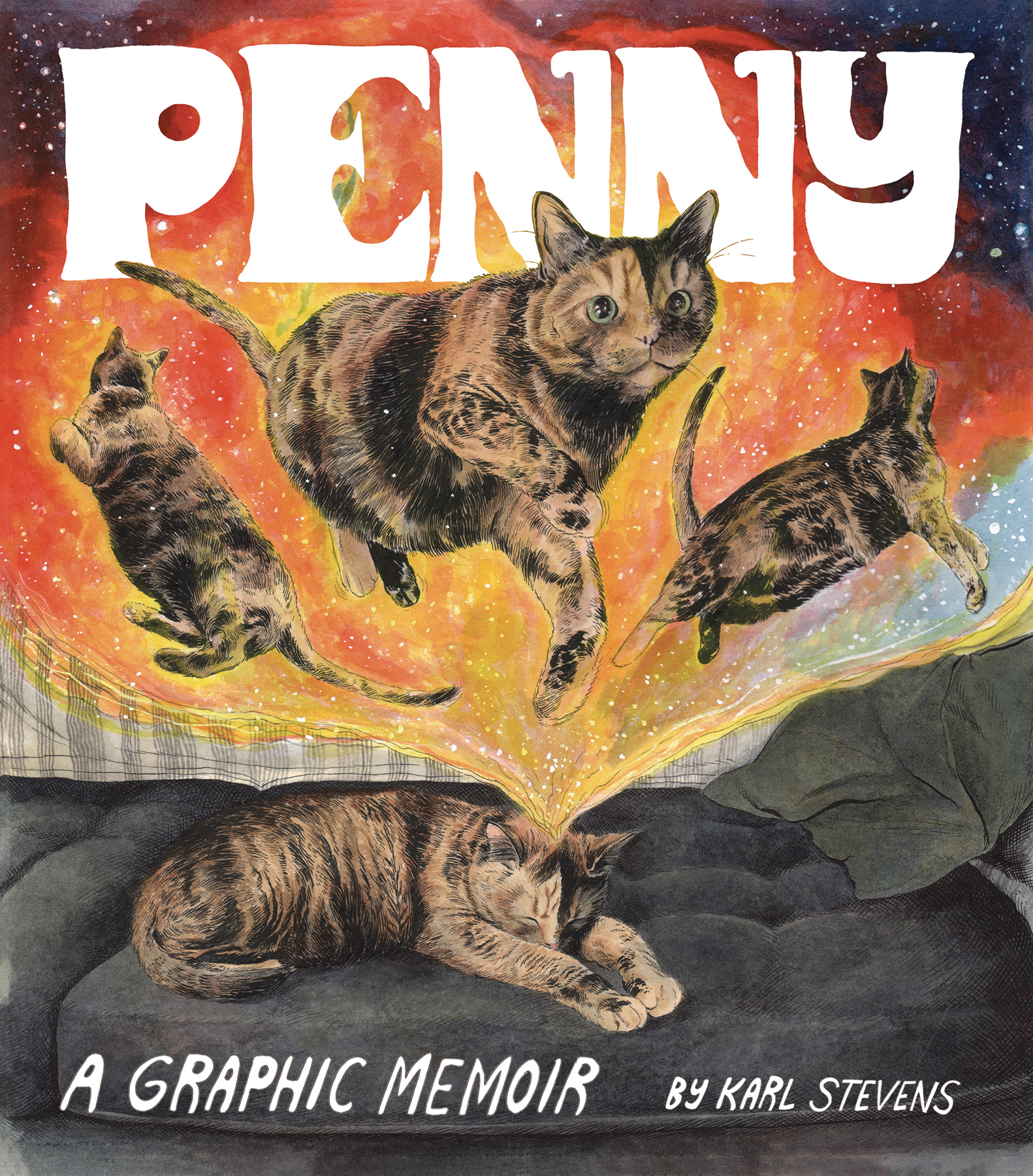 Penny Graphic Novel