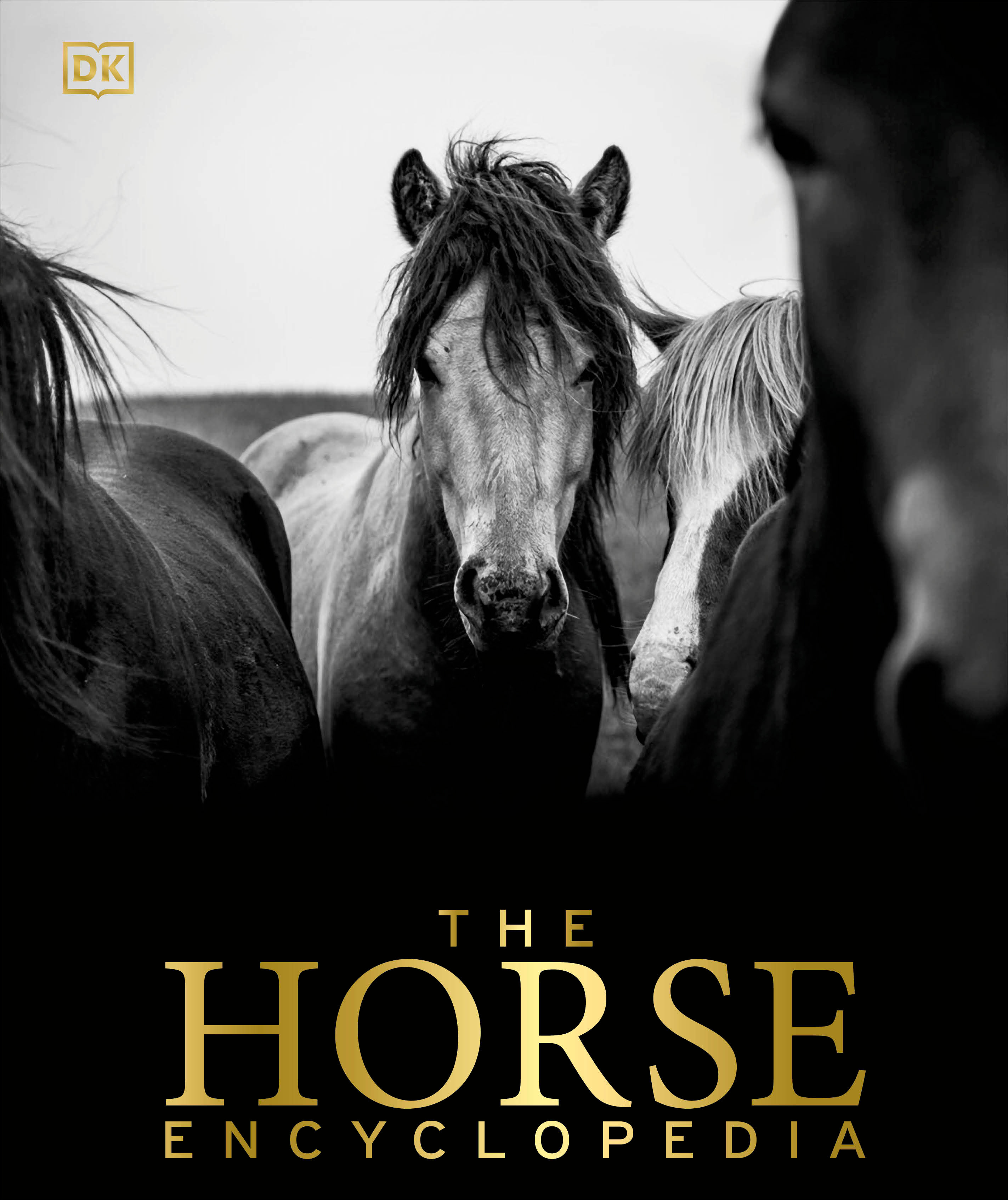 The Horse Encyclopedia (Hardcover Book)