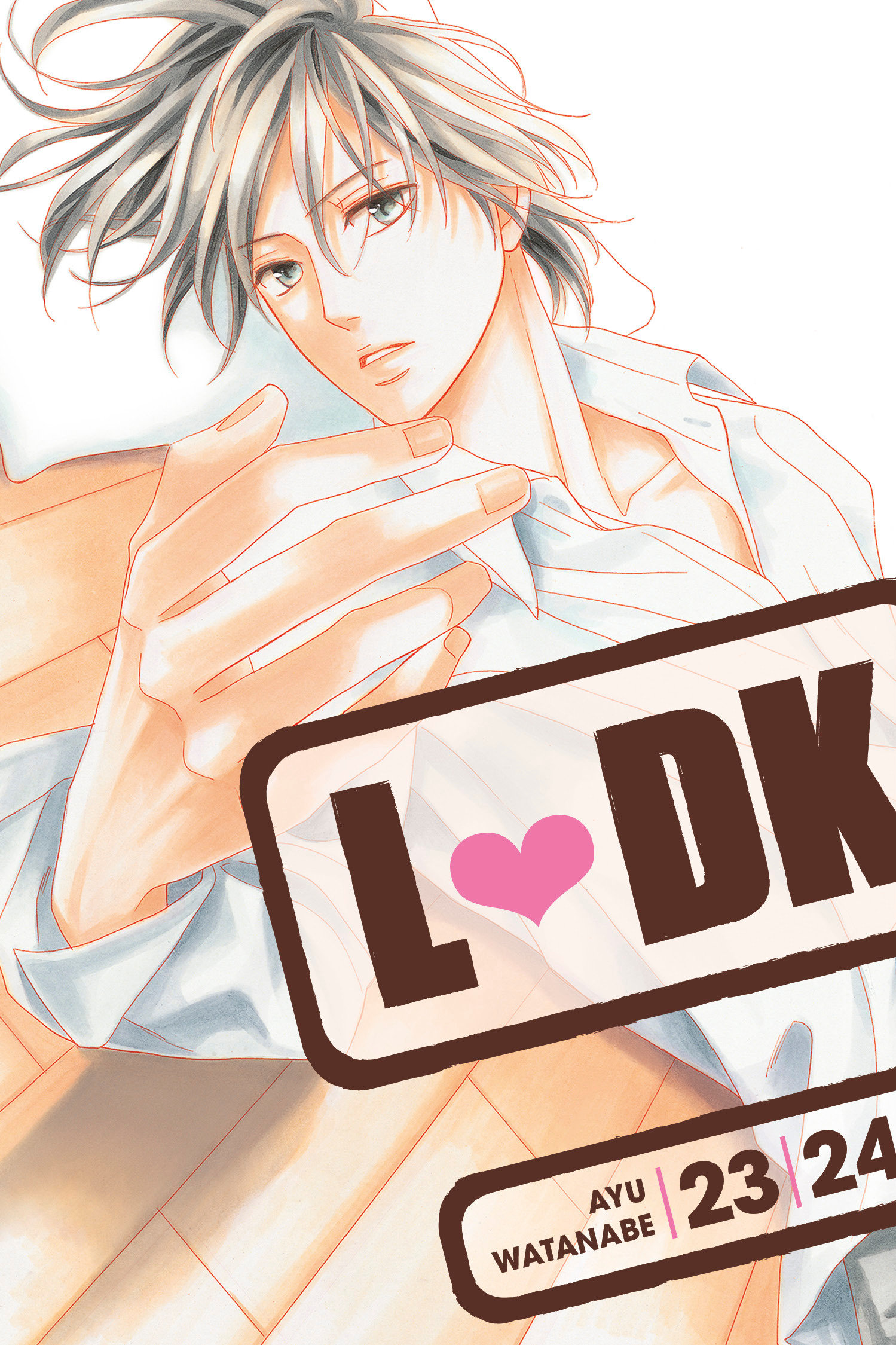 LDK Manga Volume 17 & 18 