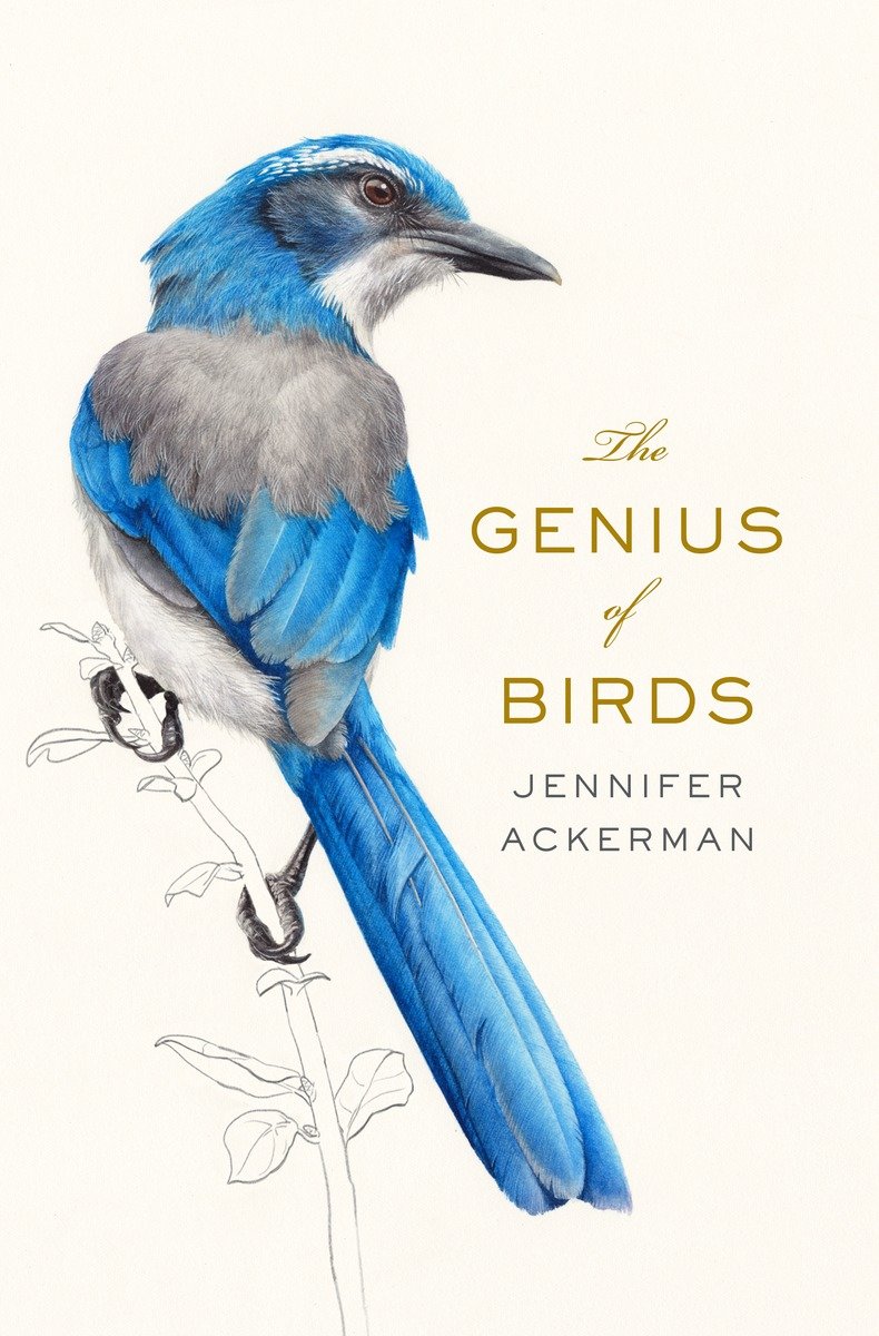 The Genius Of Birds (Hardcover Book)