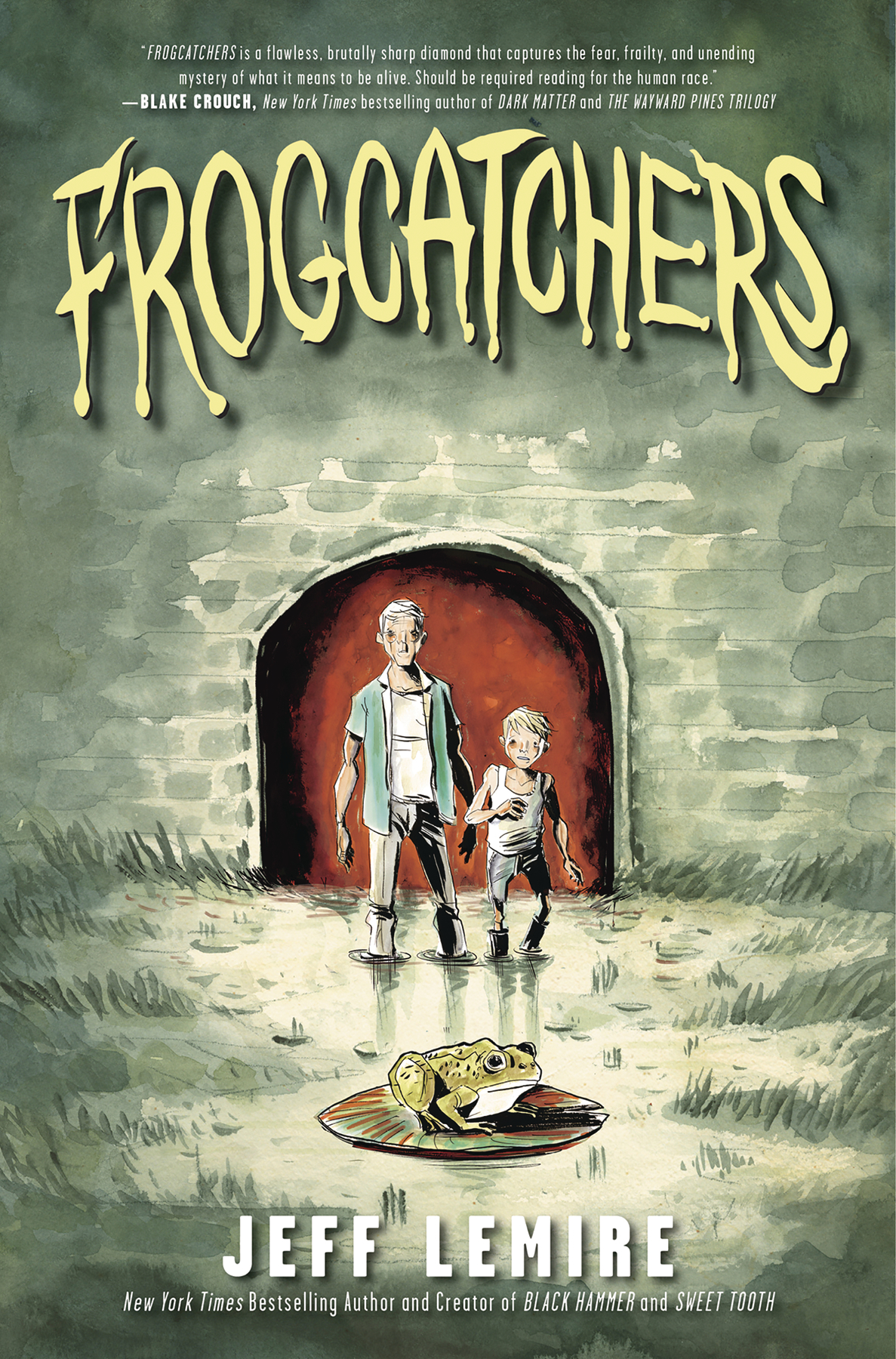 Frogcatchers Graphic Novel HC
