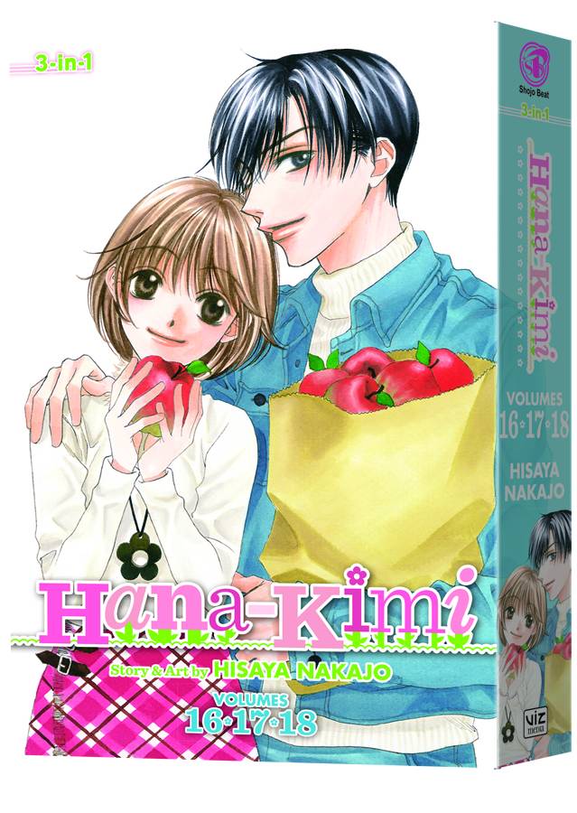 Hana Kimi 3 In 1edition Manga Volume 6