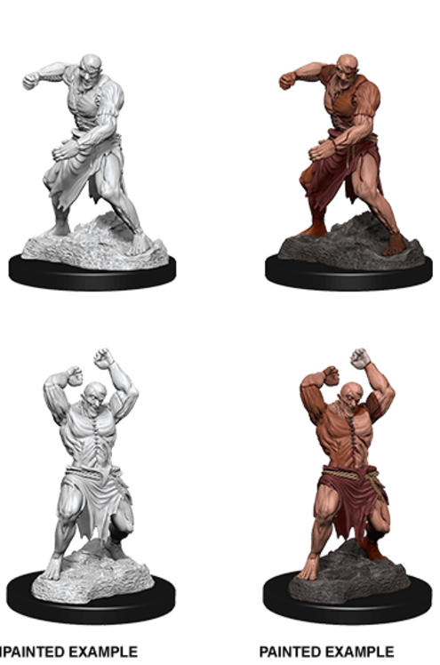 Dungeons & Dragons Nolzur`s Marvelous Unpainted Miniatures: Flesh Golem