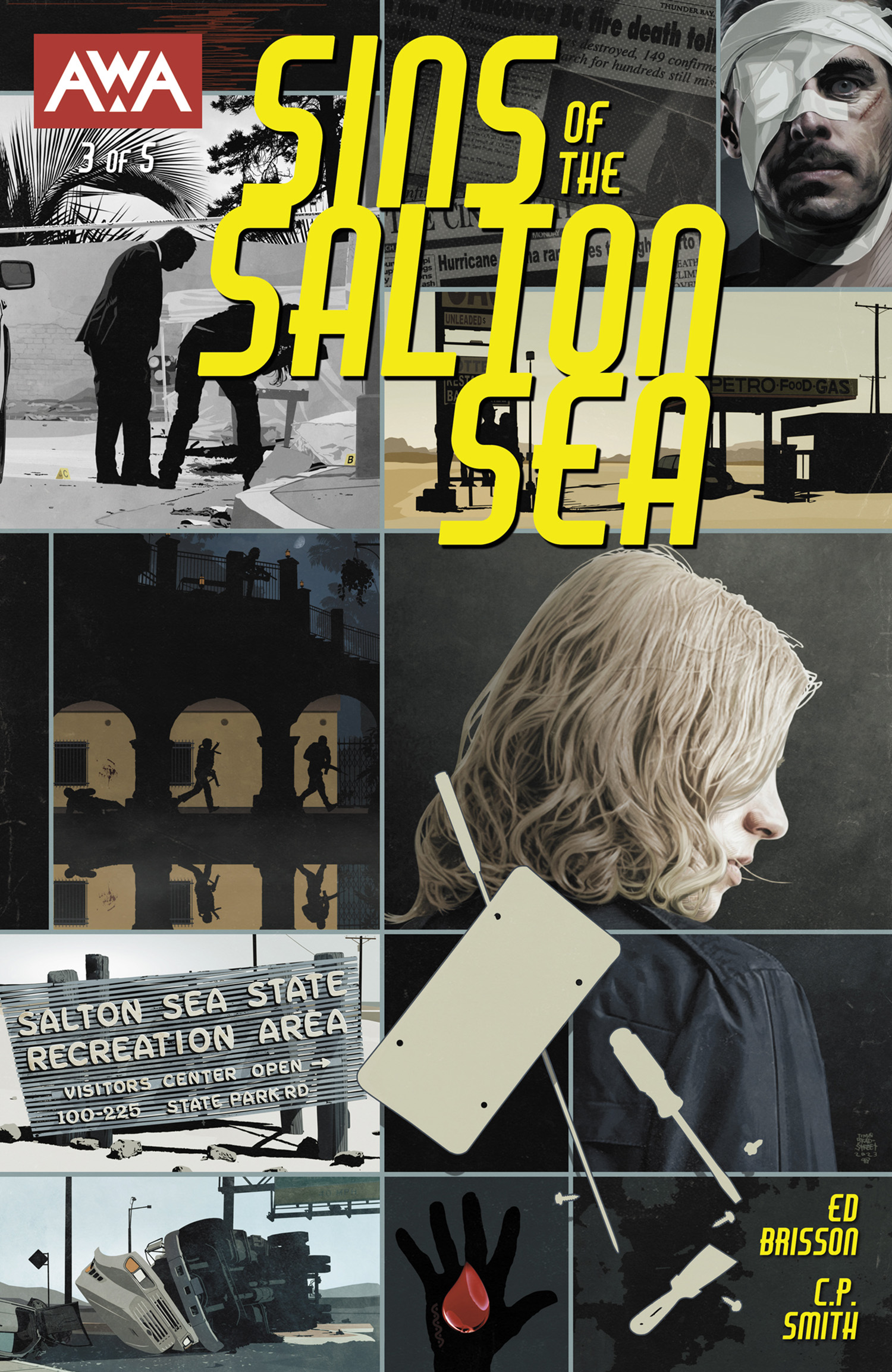 Sins of the Salton Sea #3 Cover A Bradstreet (Mature) (Of 5)