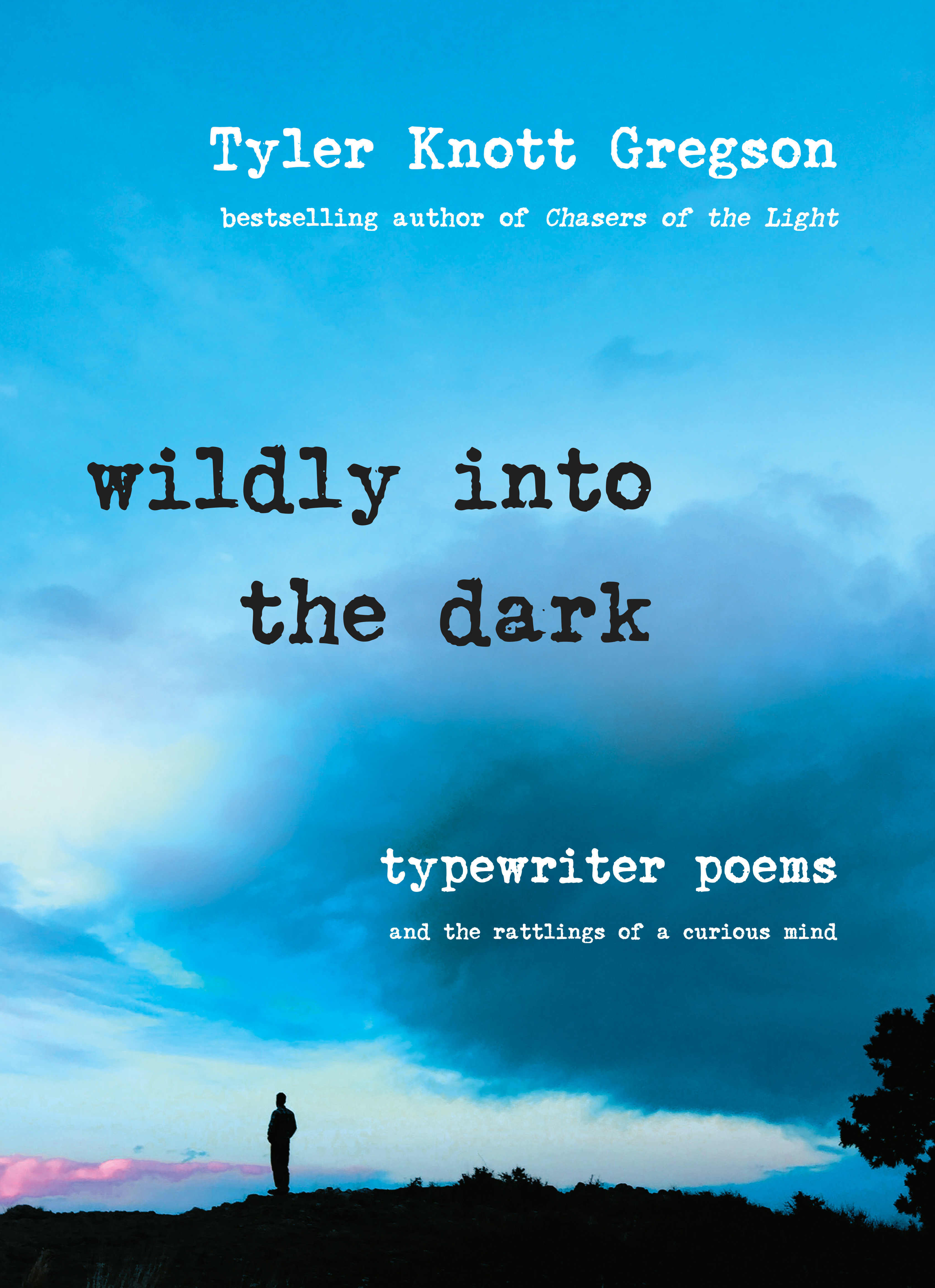 Wildly Into The Dark (Hardcover Book)
