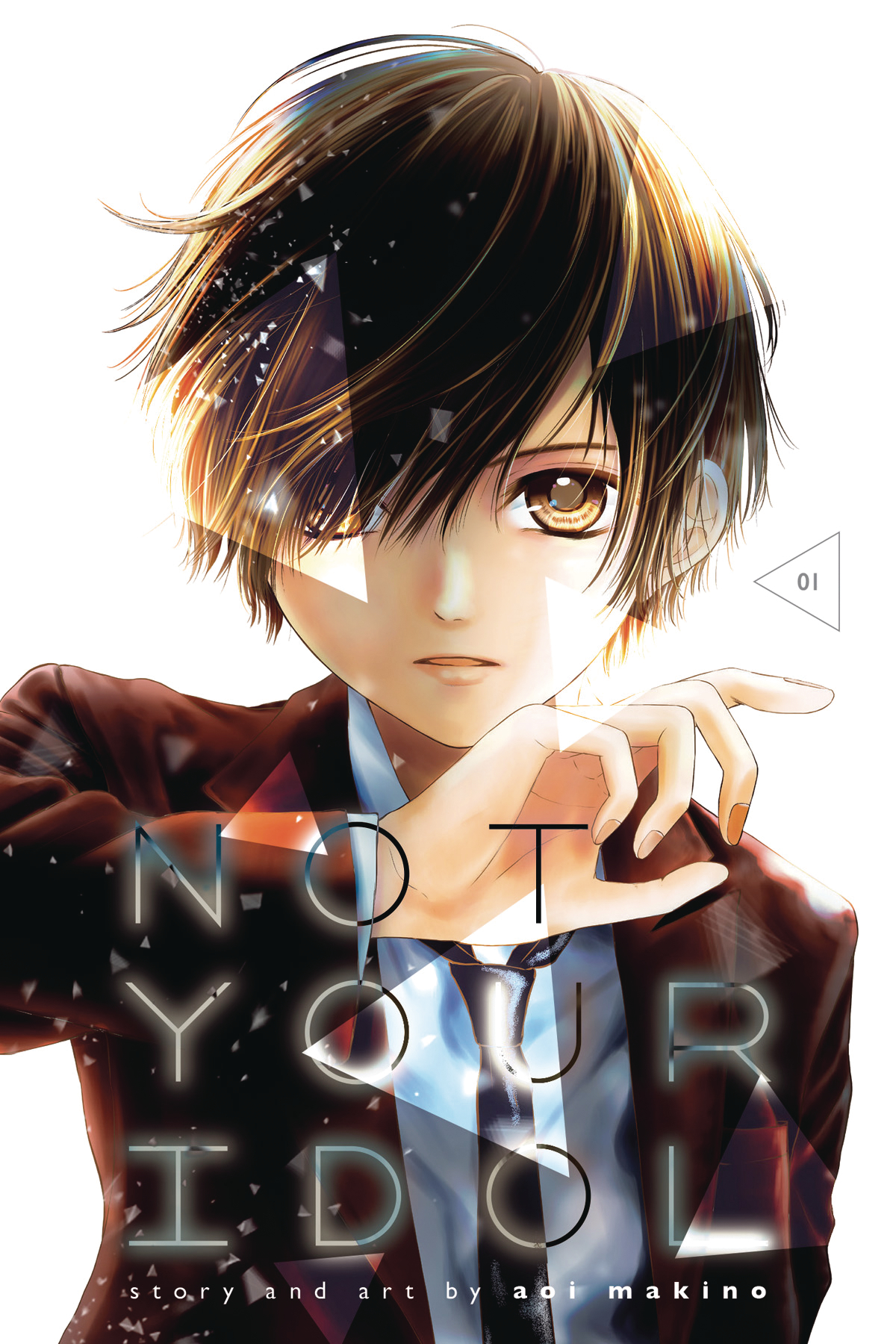 Not Your Idol Manga Volume 1