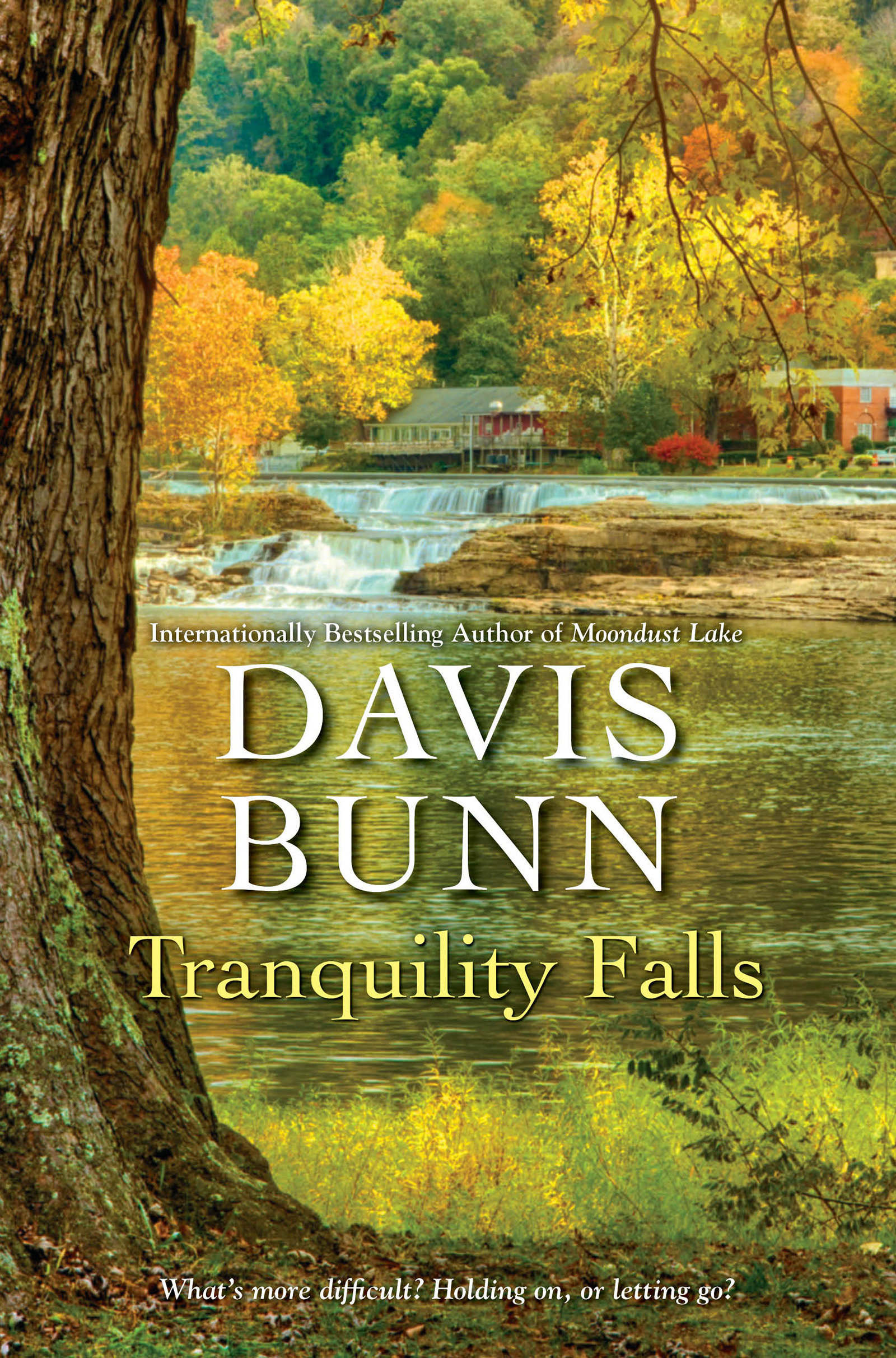 Tranquility Falls (Hardcover Book)