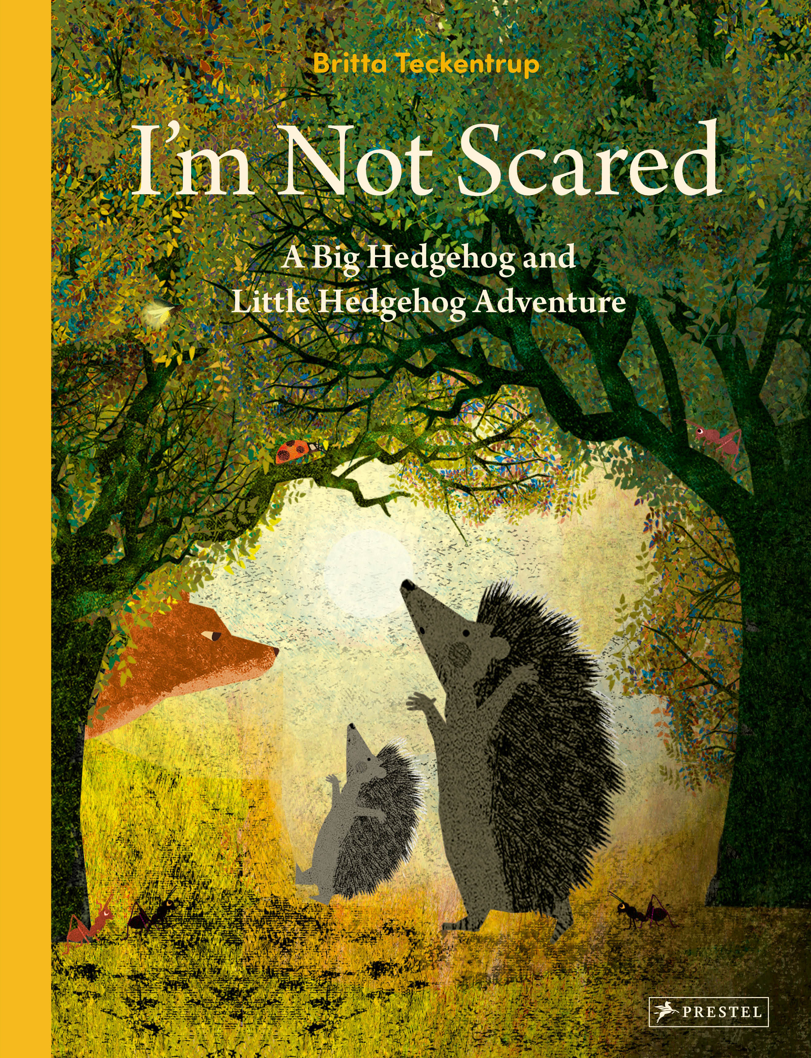 I'M Not Scared (Hardcover Book)