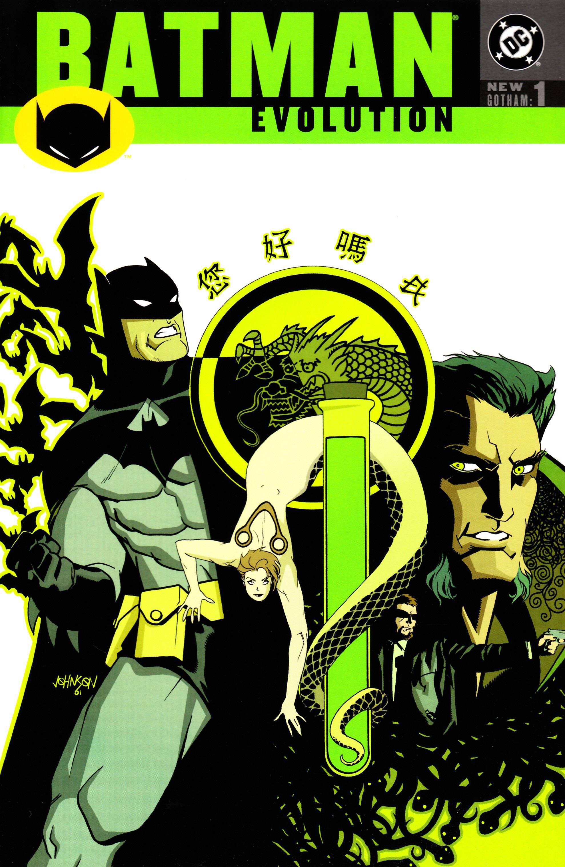 Batman Evolution Graphic Novel