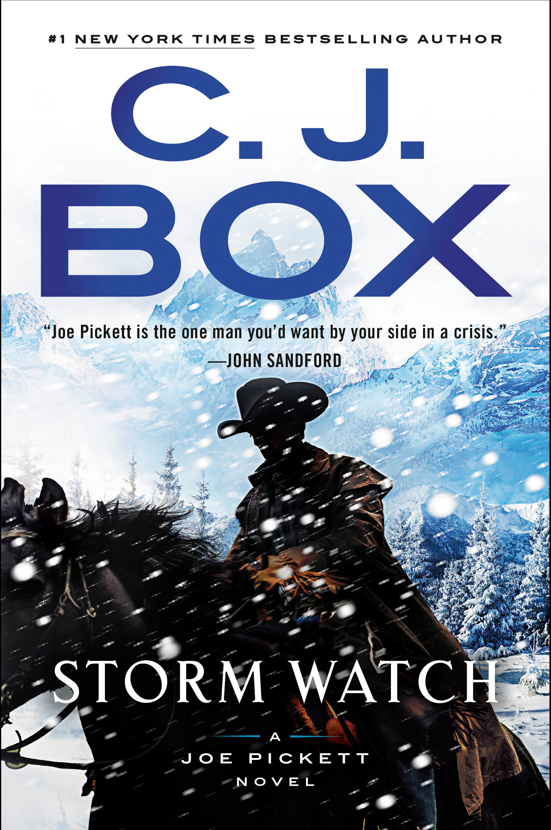 Storm Watch (Hardcover Book)
