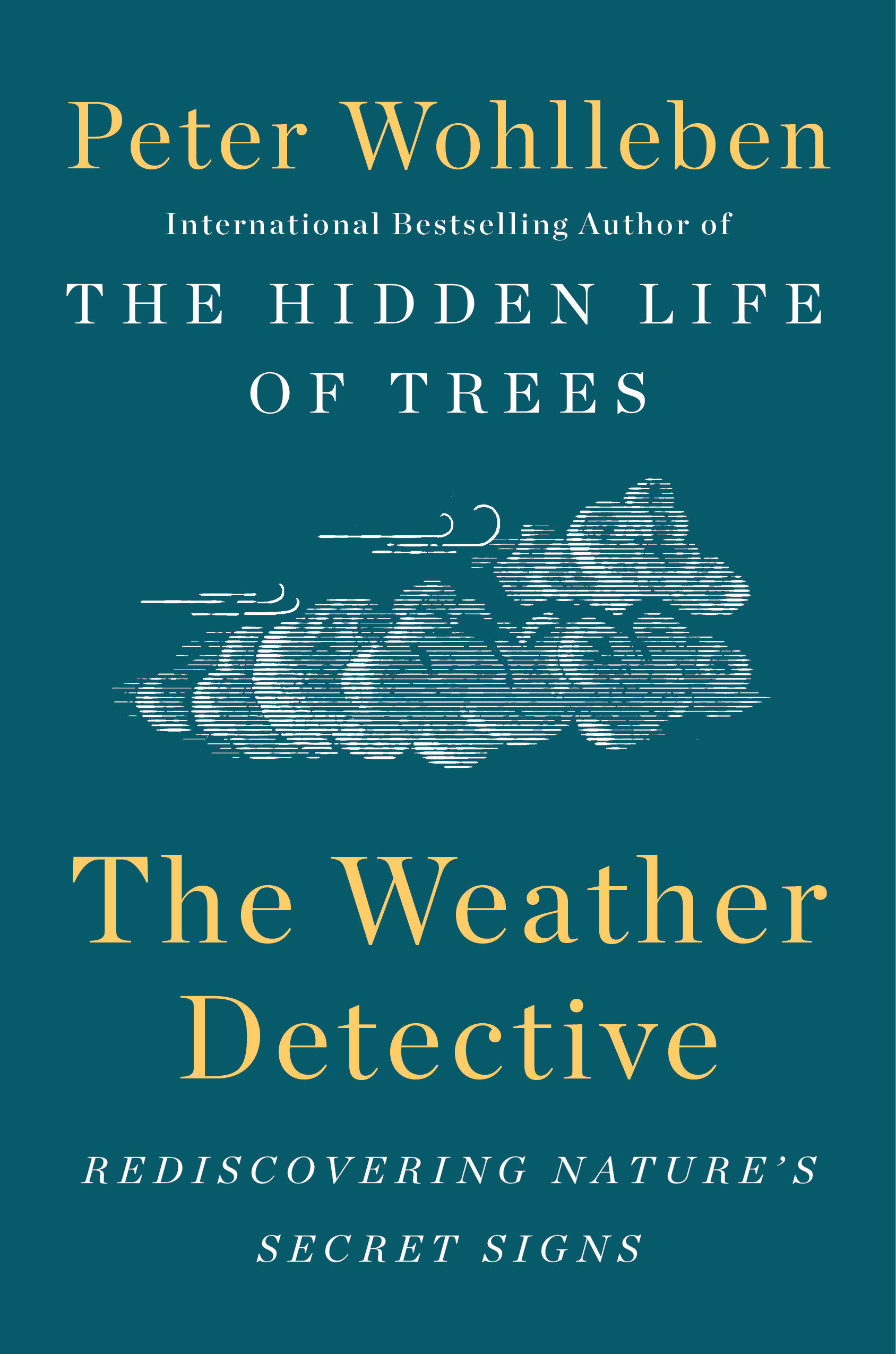 The Weather Detective (Hardcover Book)