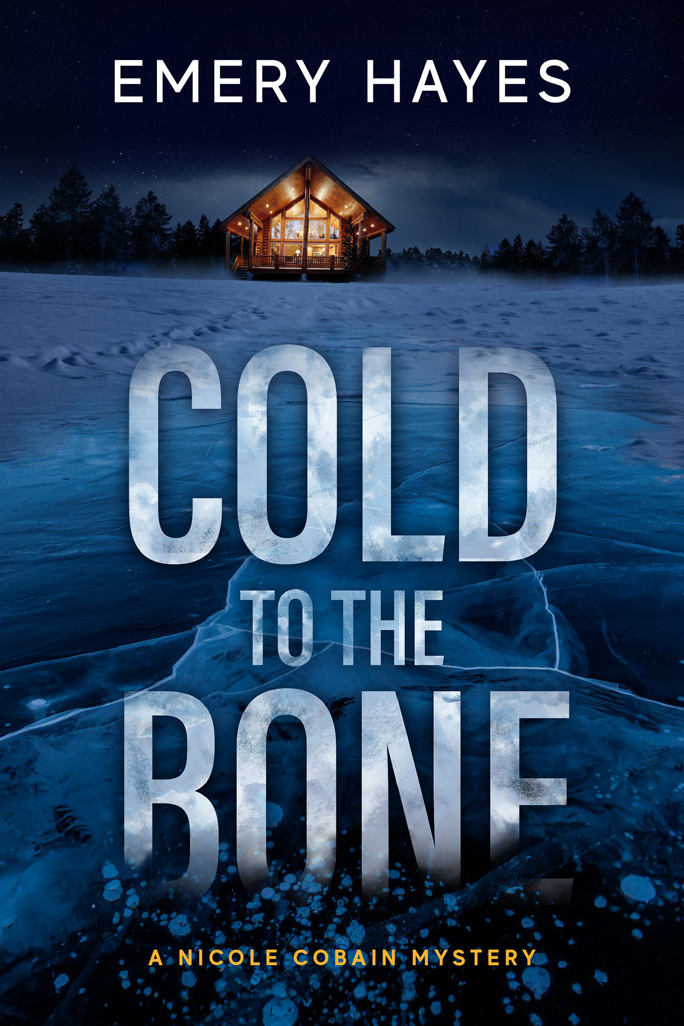 Cold To The Bone (Hardcover Book)