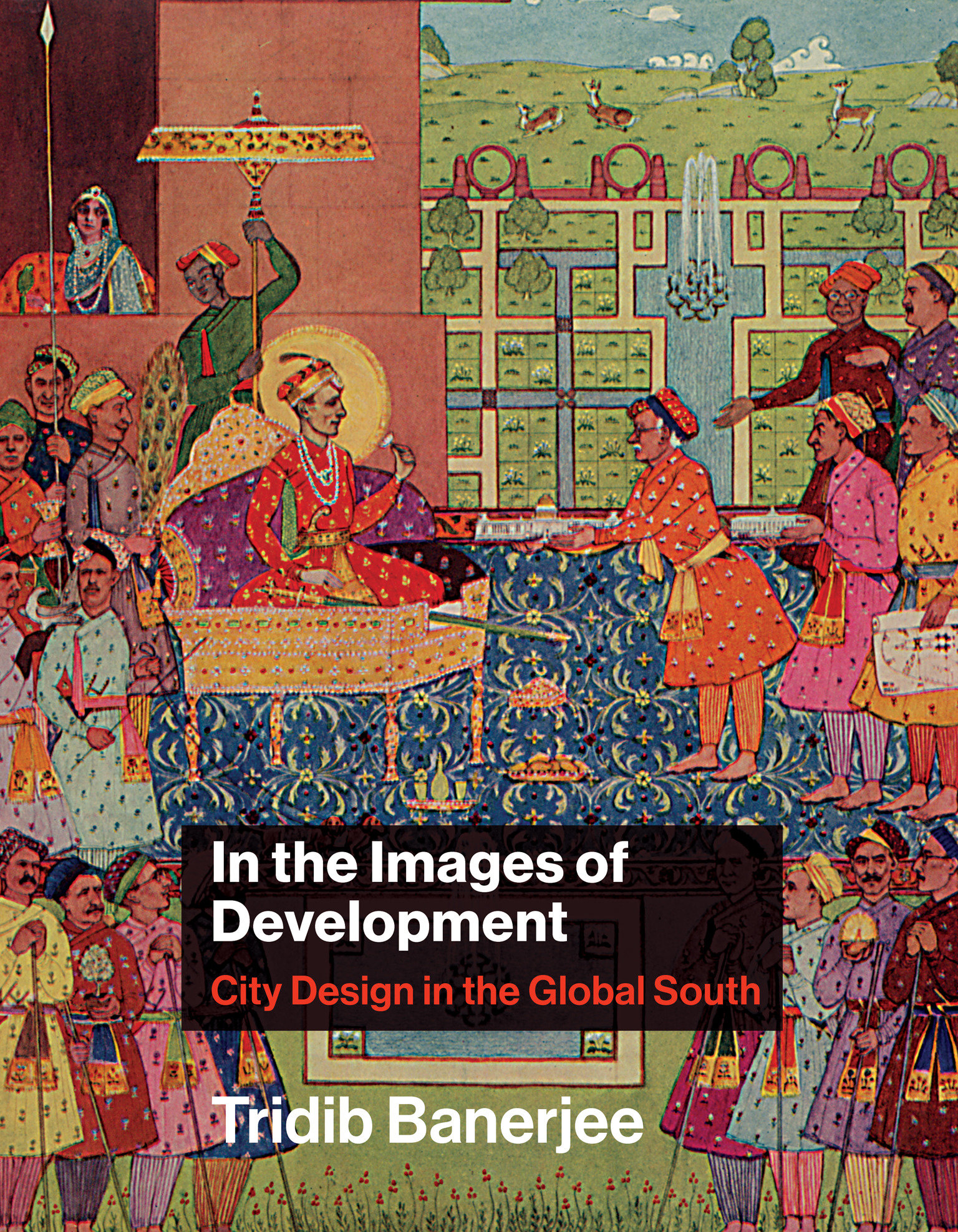 In The Images Of Development (Hardcover Book)