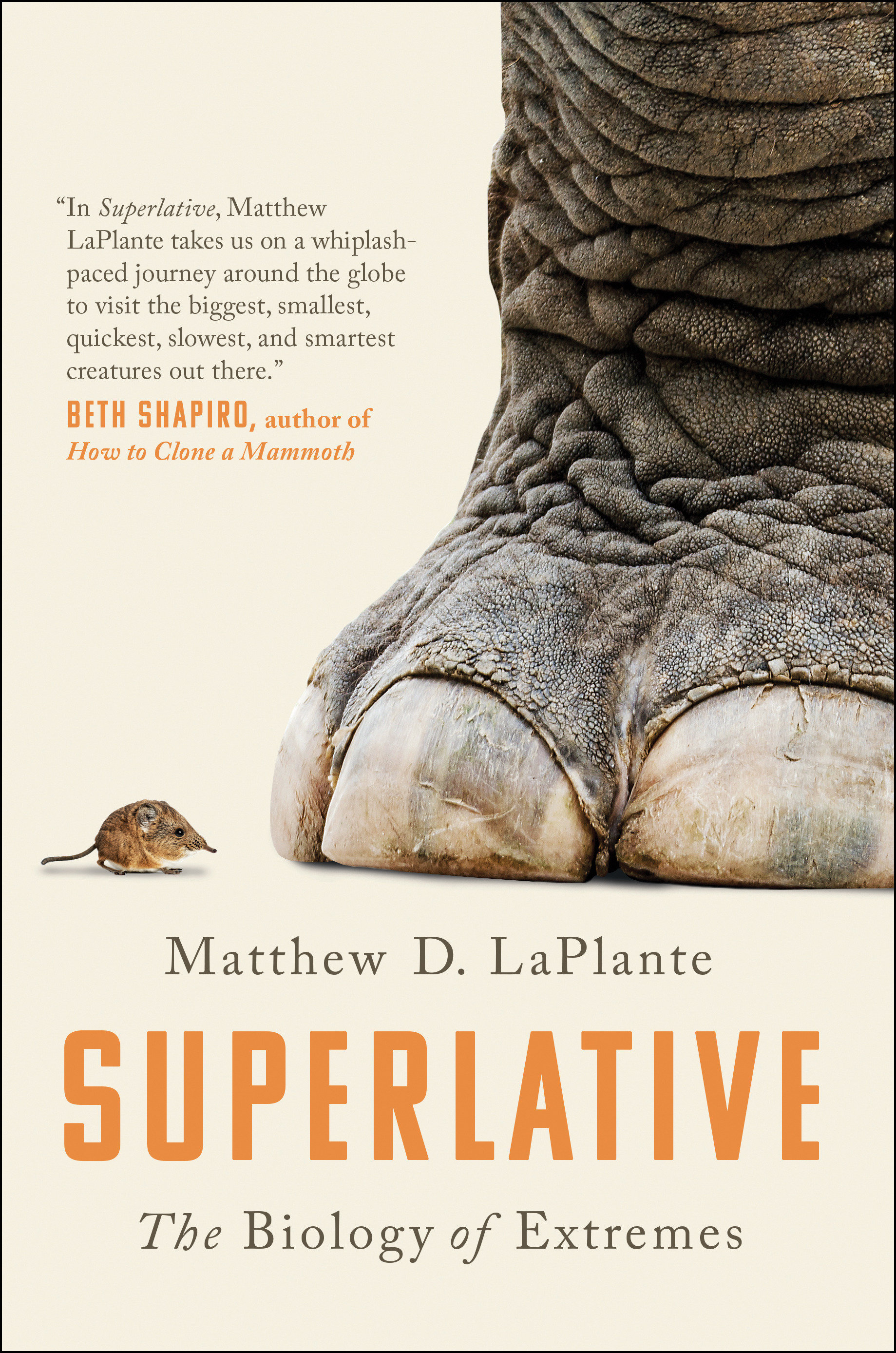 Superlative (Hardcover Book)