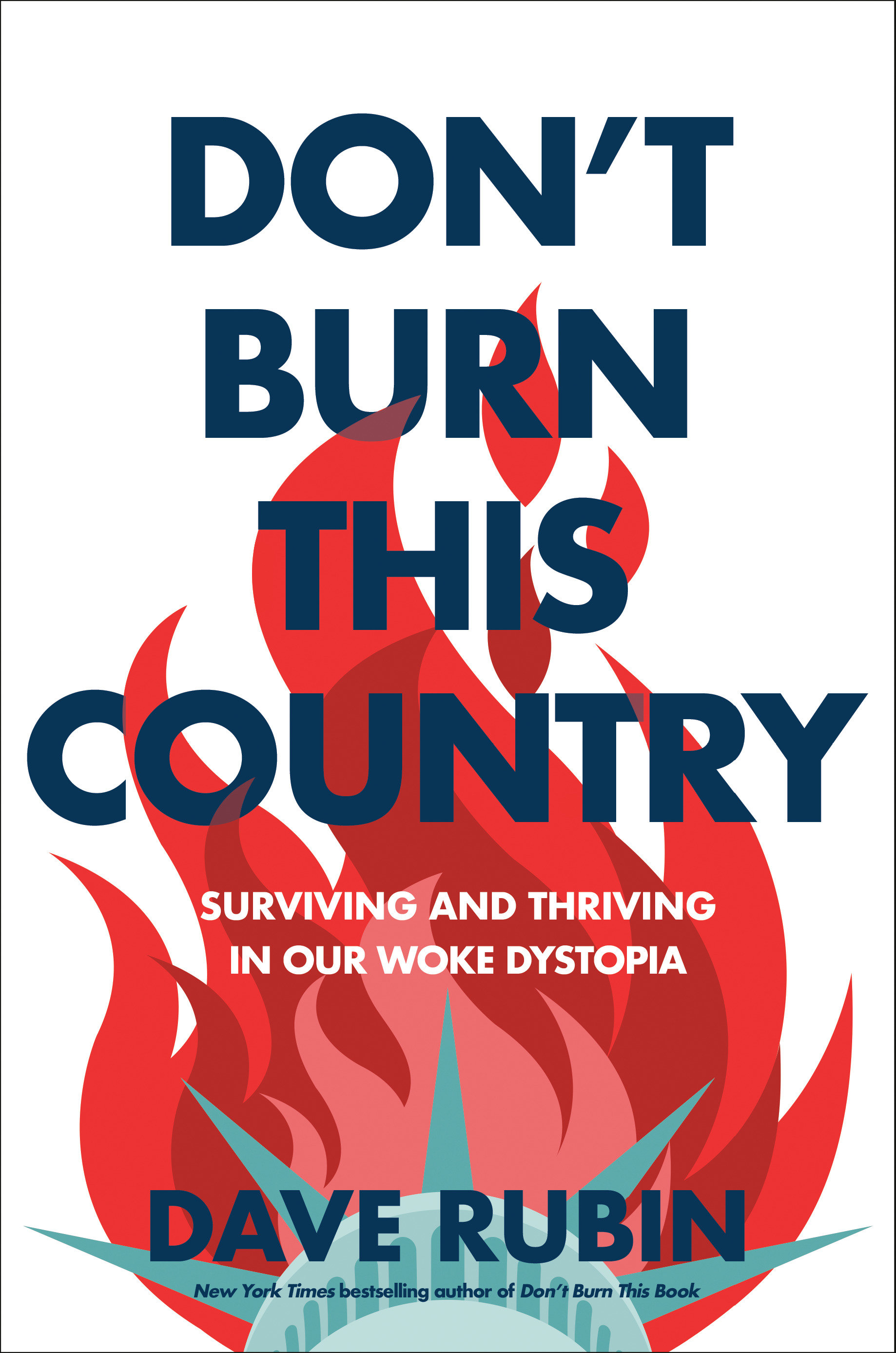 Don'T Burn This Country (Hardcover Book)