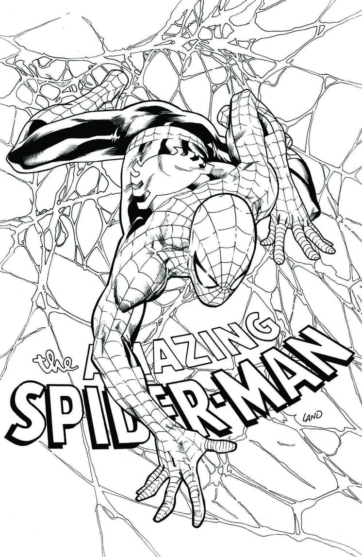 Amazing Spider-Man #798 Texas Children's Sketch Variant (2017)