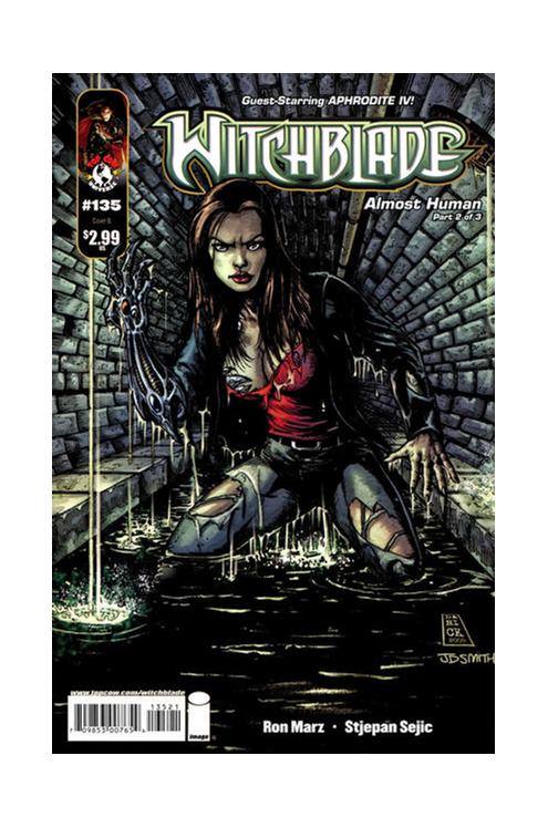 Witchblade #135 Robertson Cover B