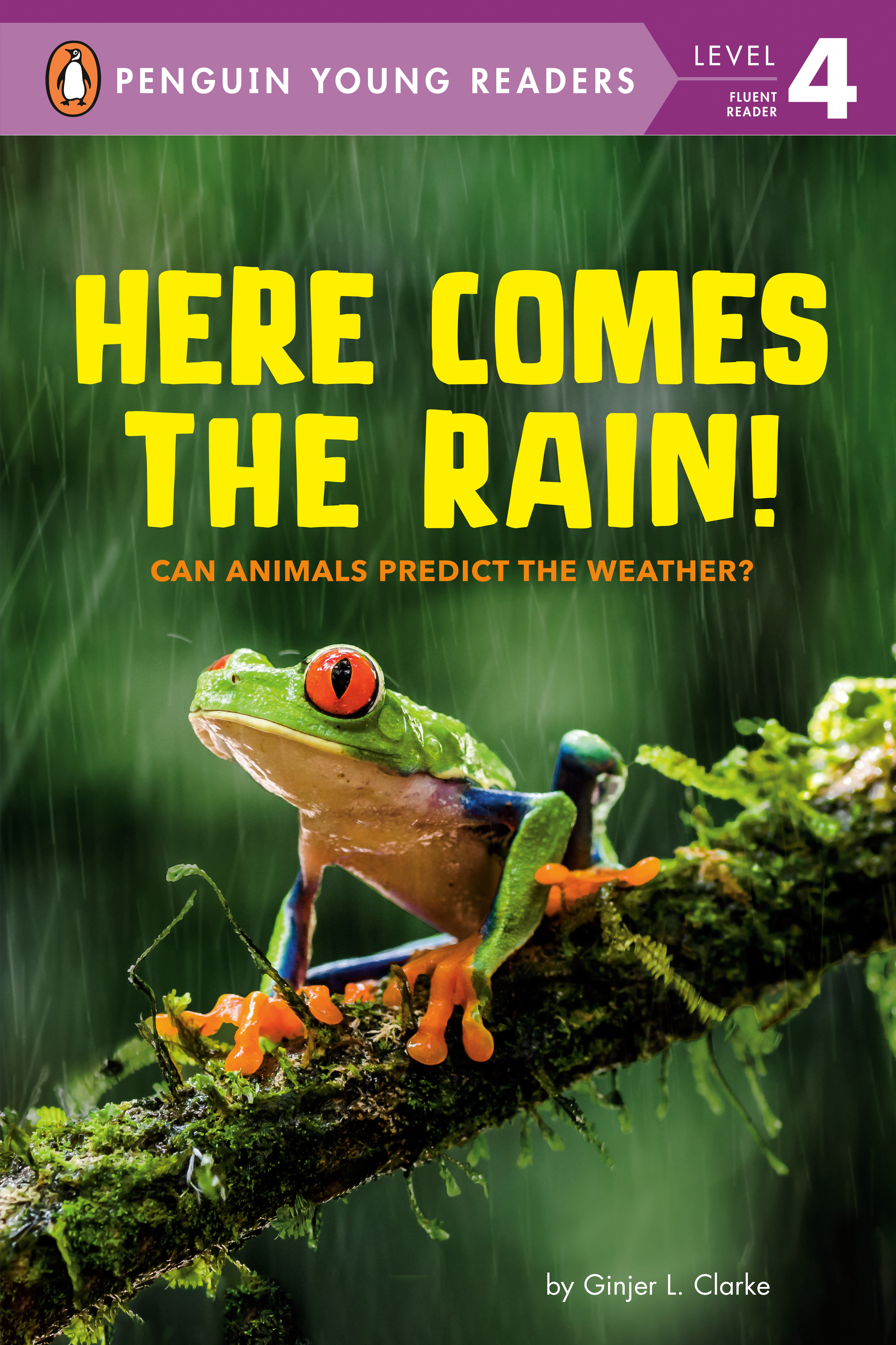 Here Comes The Rain! (Hardcover Book)