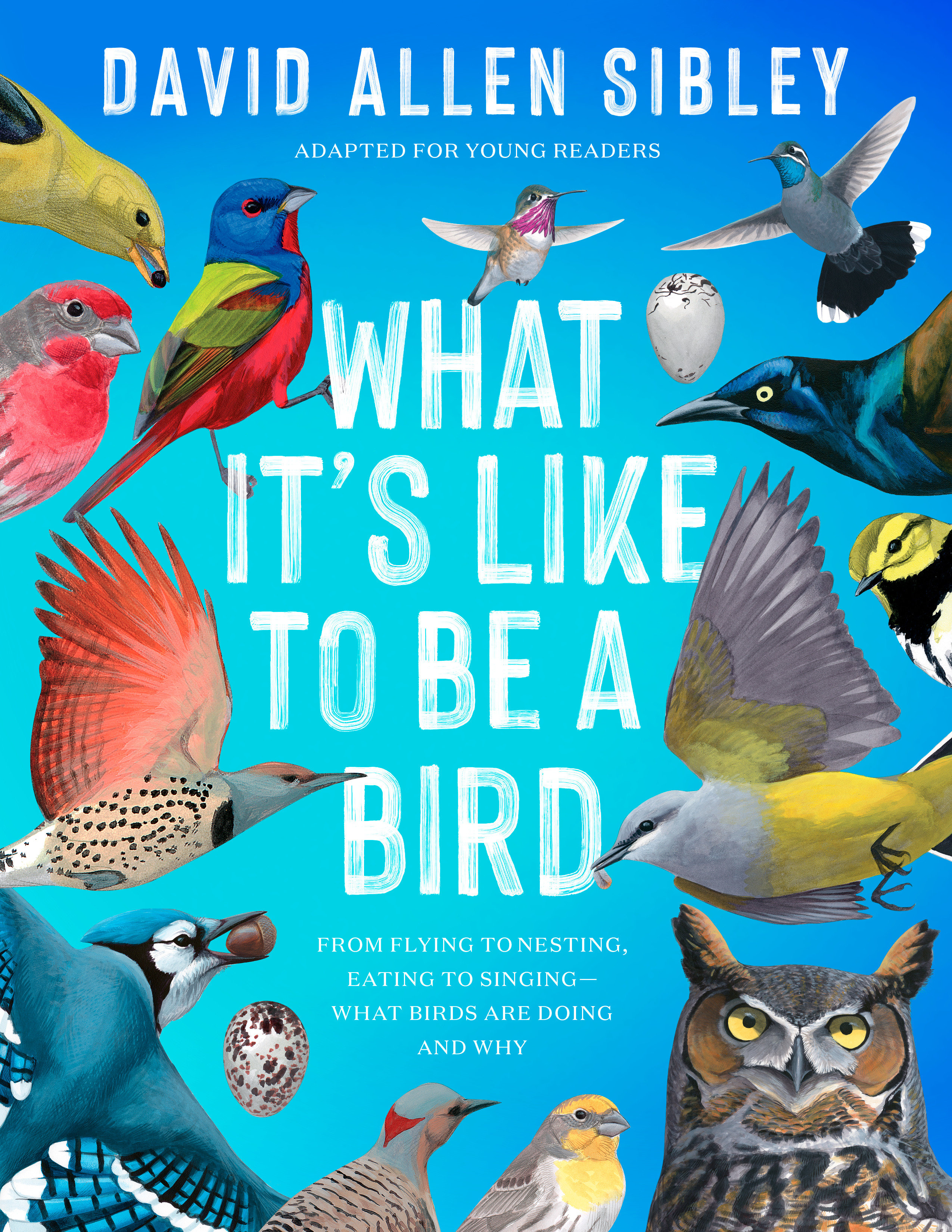 What It'S Like To Be A Bird (Adapted for Young Readers) (Hardcover Book)