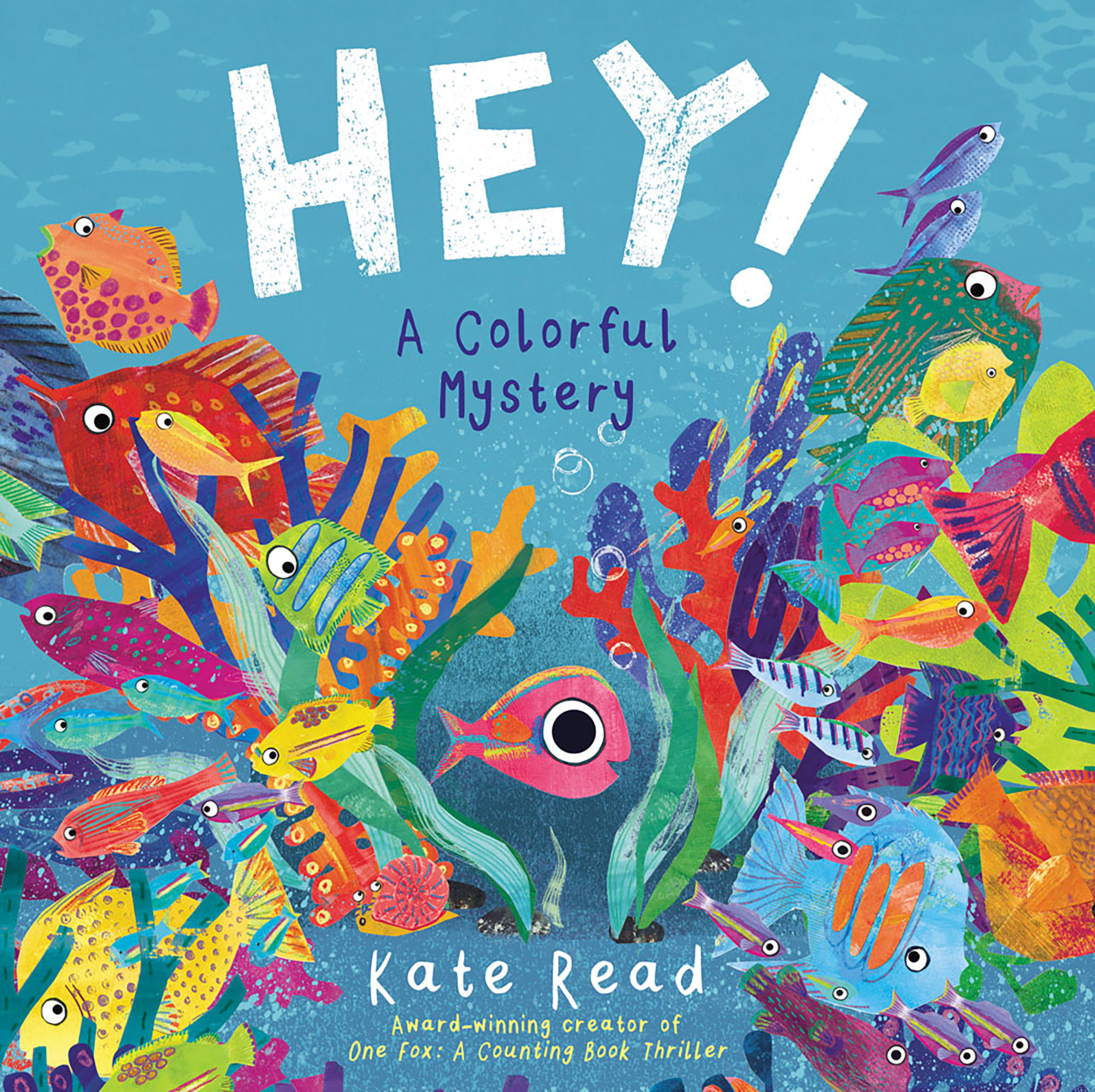 Hey! A Colorful Mystery (Hardcover Book)