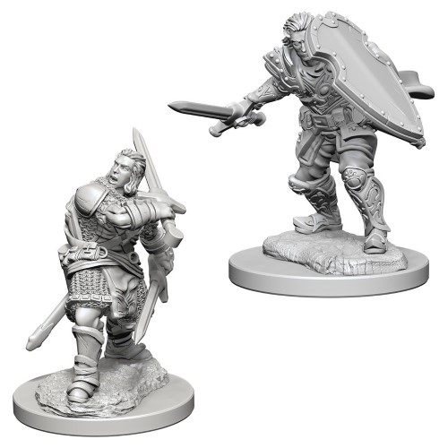 Dungeons & Dragons Nolzur`s Marvelous Unpainted Miniatures: Human Male Paladin