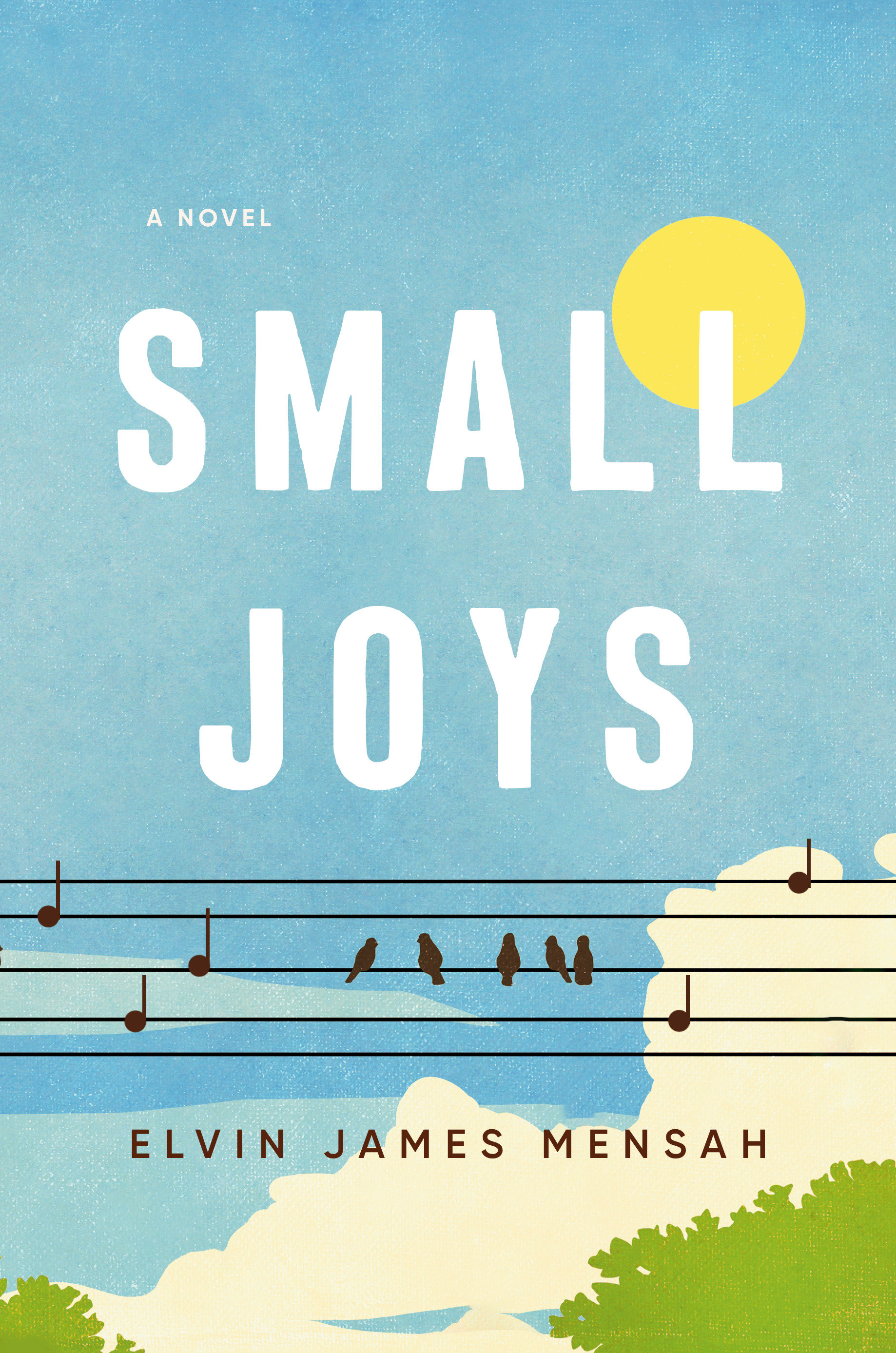 Small Joys (Hardcover Book)