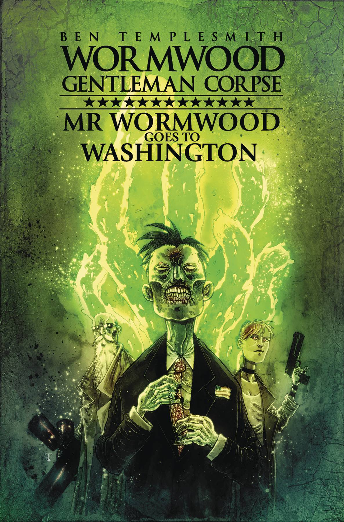 Mr Wormwood Goes To Washington Hardcover