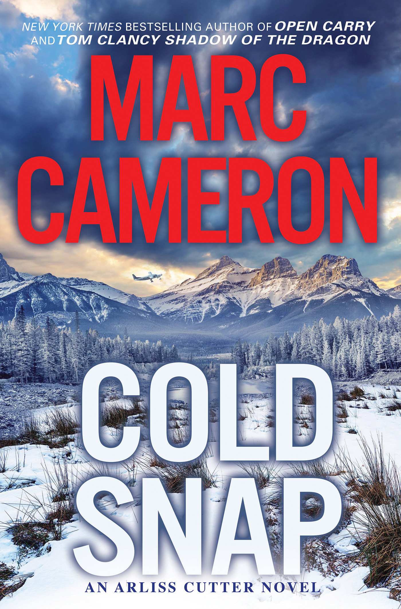 Cold Snap (Hardcover Book)