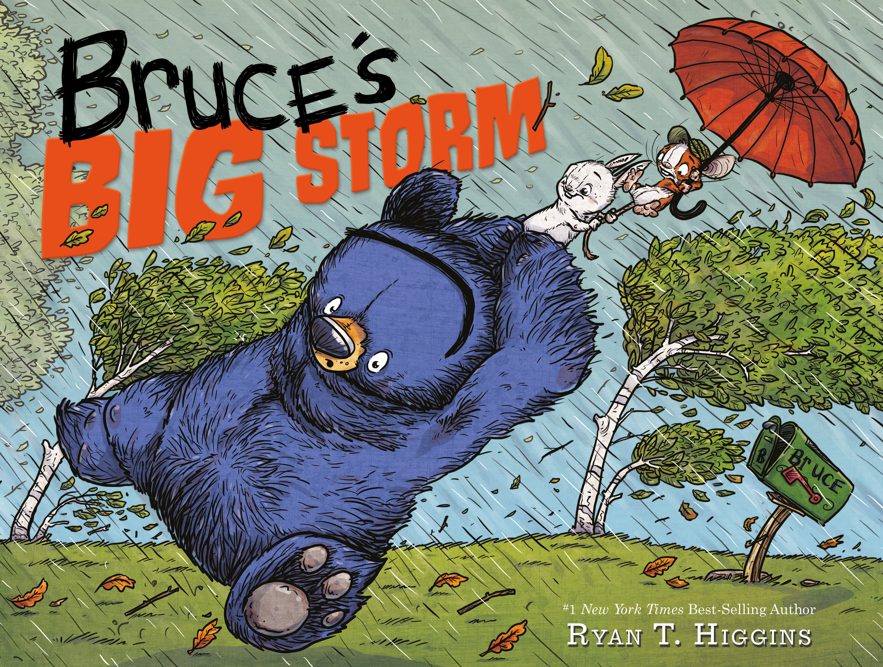 Bruce'S Big Storm (Hardcover Book)